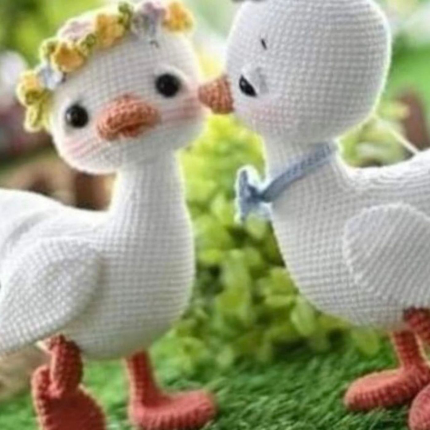 5 historias de los patos chulo y chilin