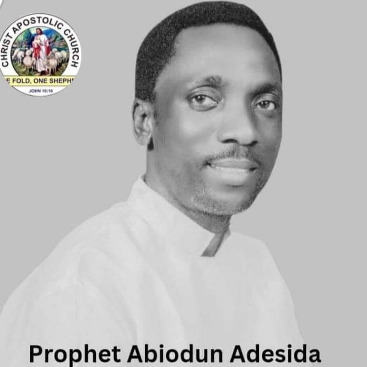 DIARY OF THE PROPHET