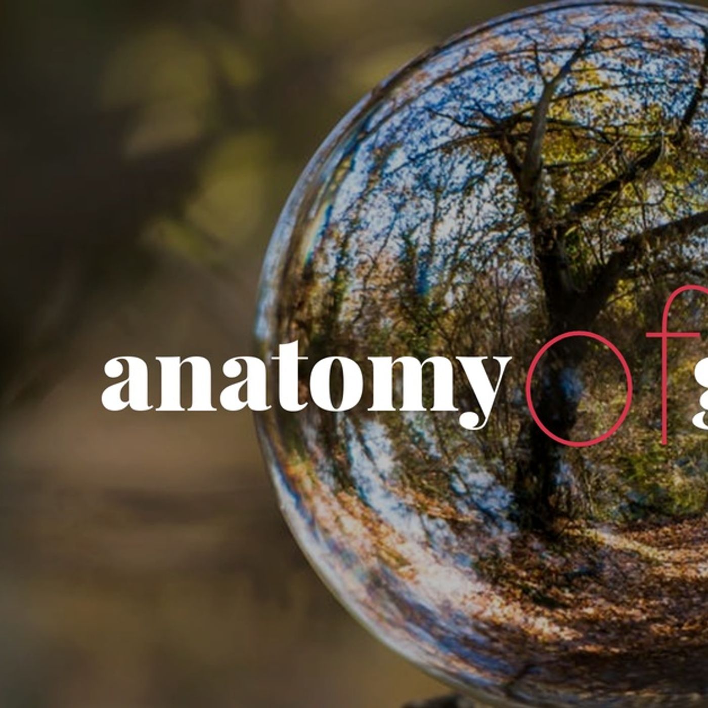 Anatomy of Greatness