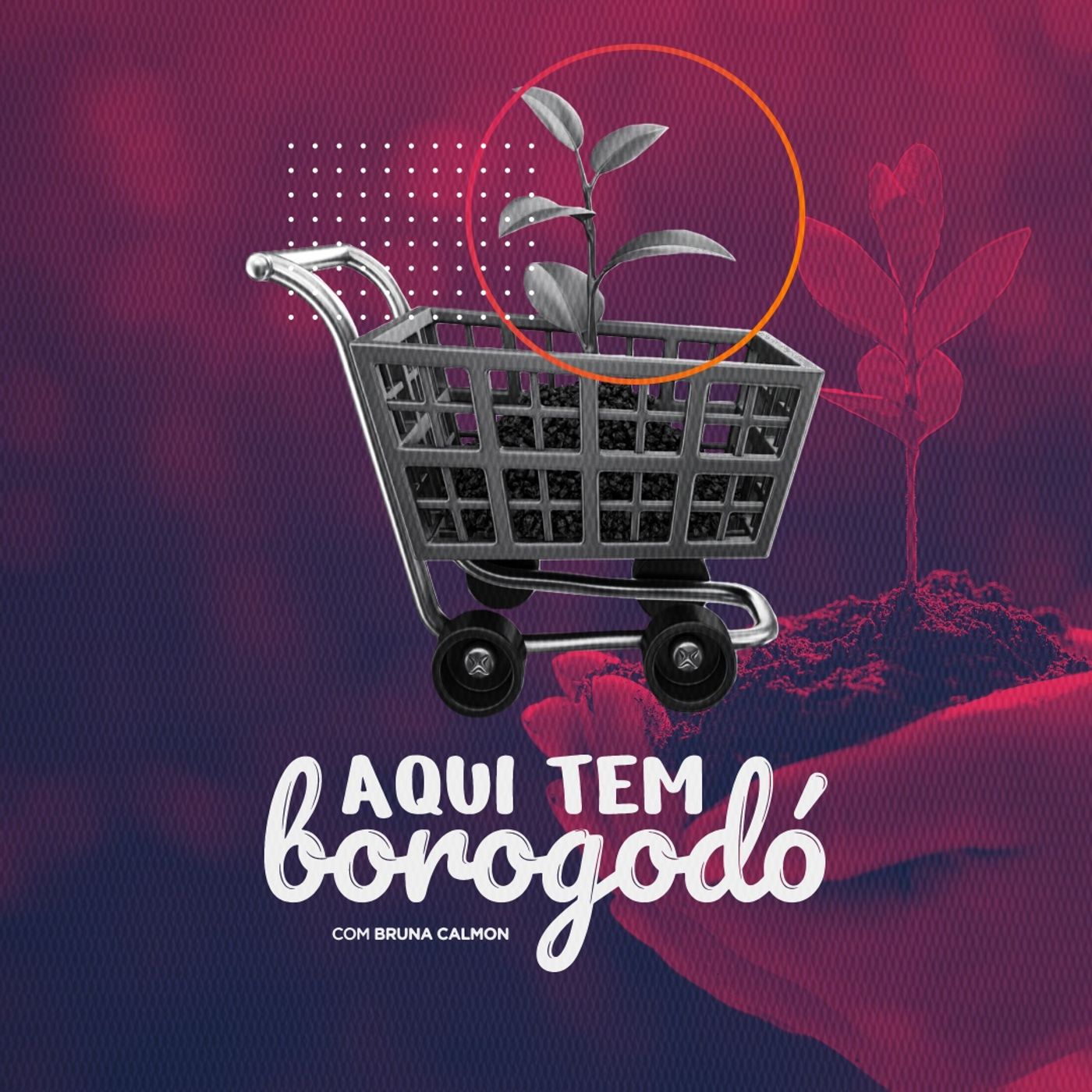 Zero Carbon - Compensações para cada gasto de carbono realizado nas compras online