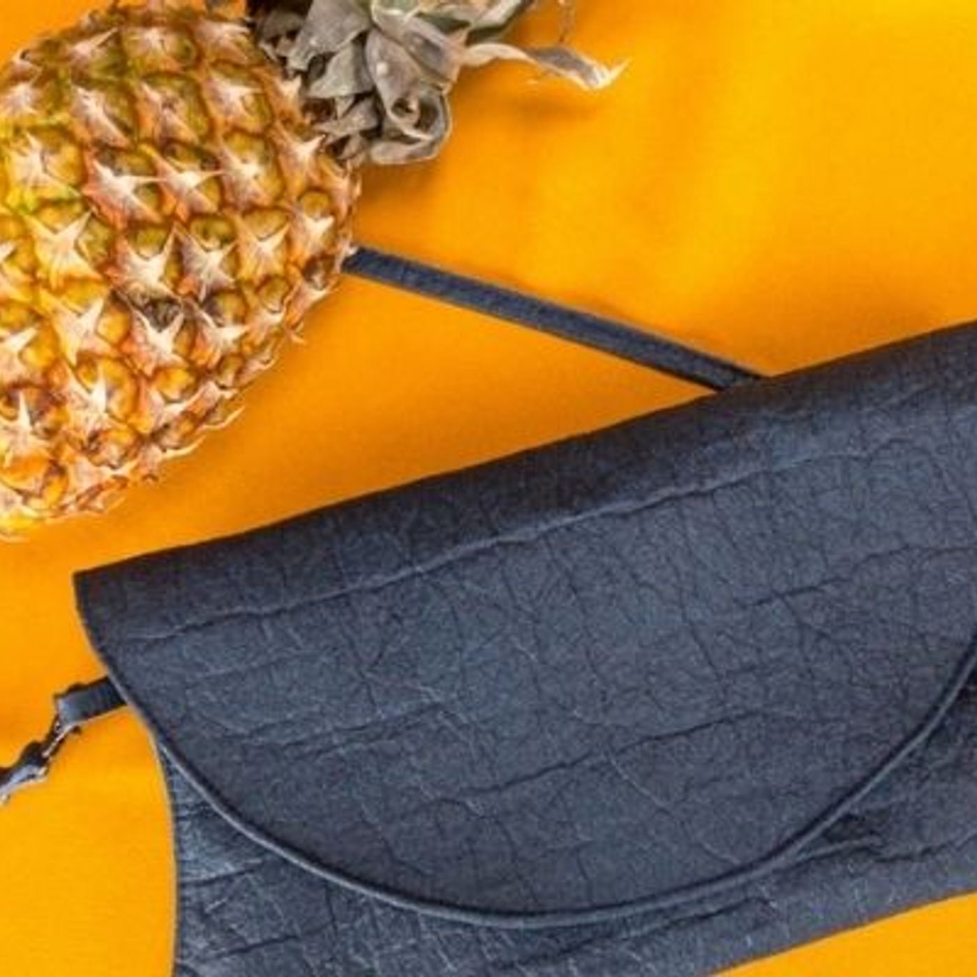 Contre la pollution et la souffrance animale : le cuir d'ananas episode artwork