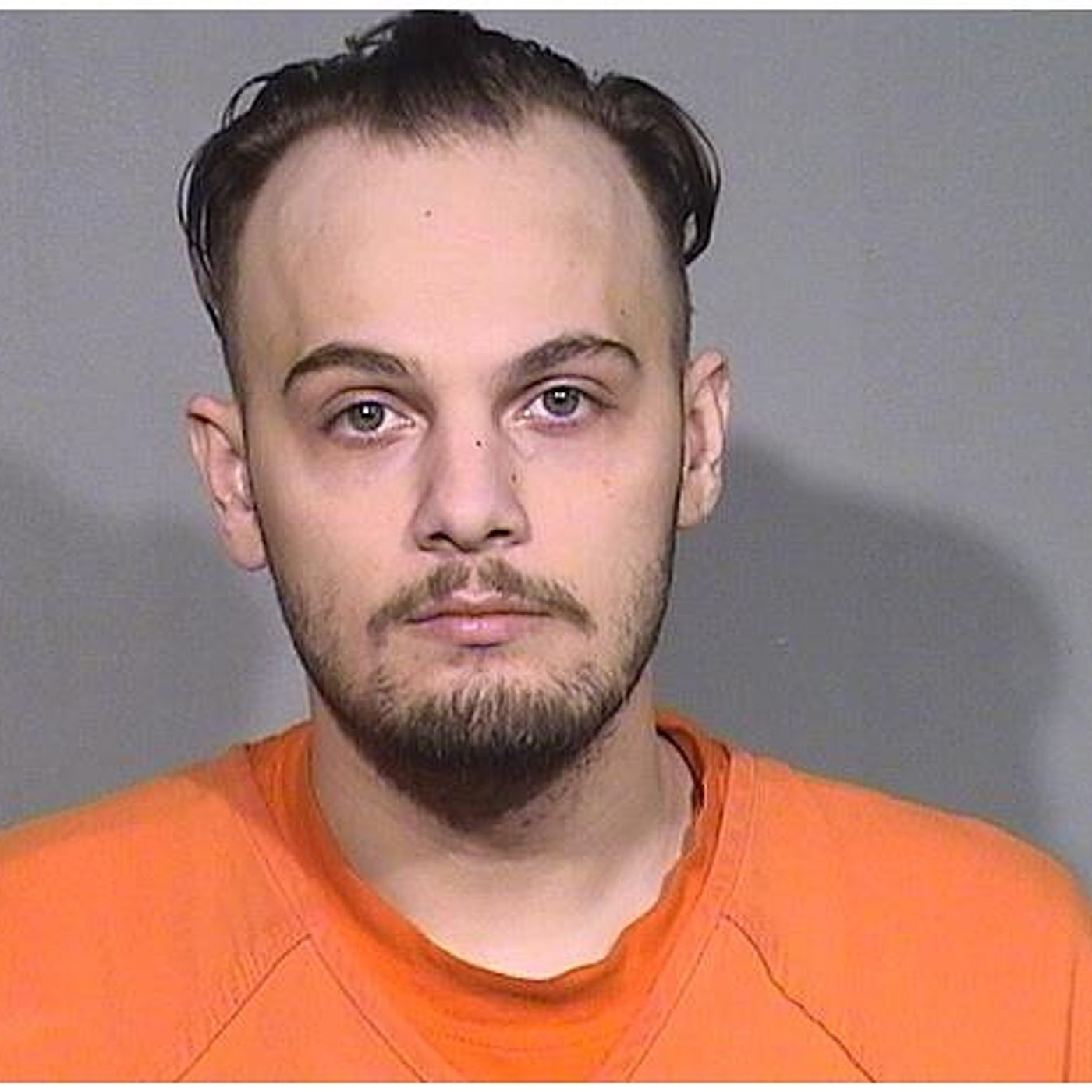 2nd man pleads guilty to theft by defrauding Crystal Lake homeowner of $4,500 episode artwork