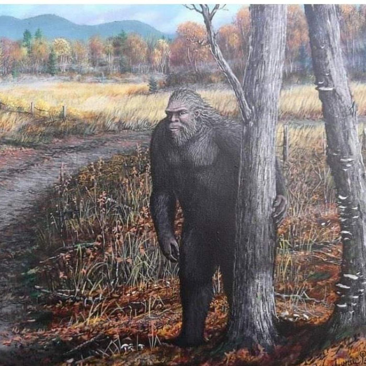 Ralph aka (Old Bear Den) Bigfoot Sightings and Experiences