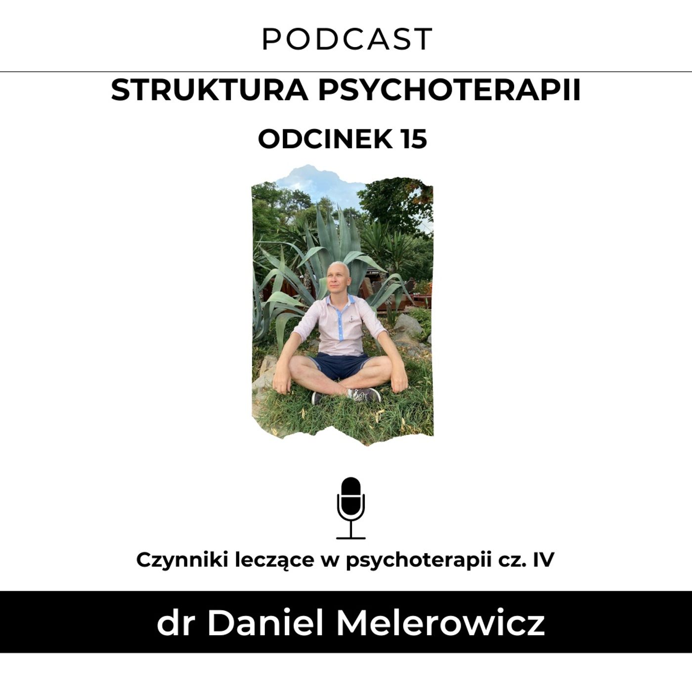 Struktura Psychoterapii