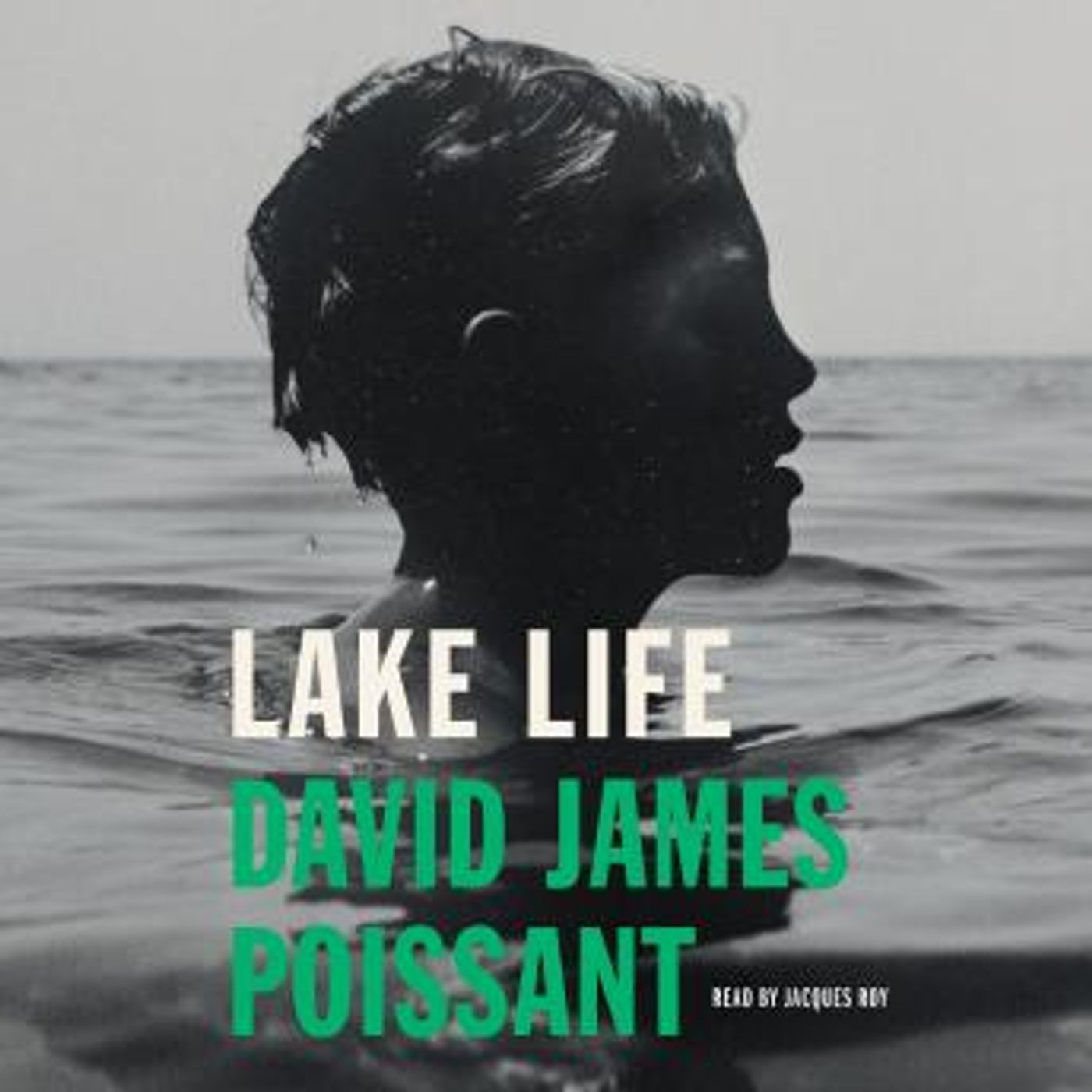 Explore New Full Audiobooks in Fiction, Drama