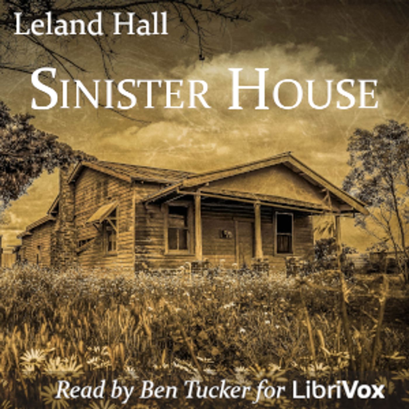 Sinister House by Leland Hall