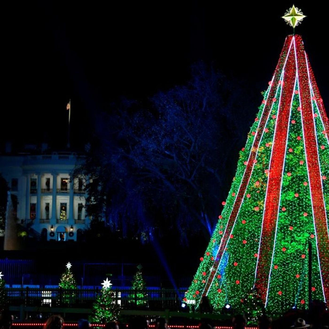Christmas Programming