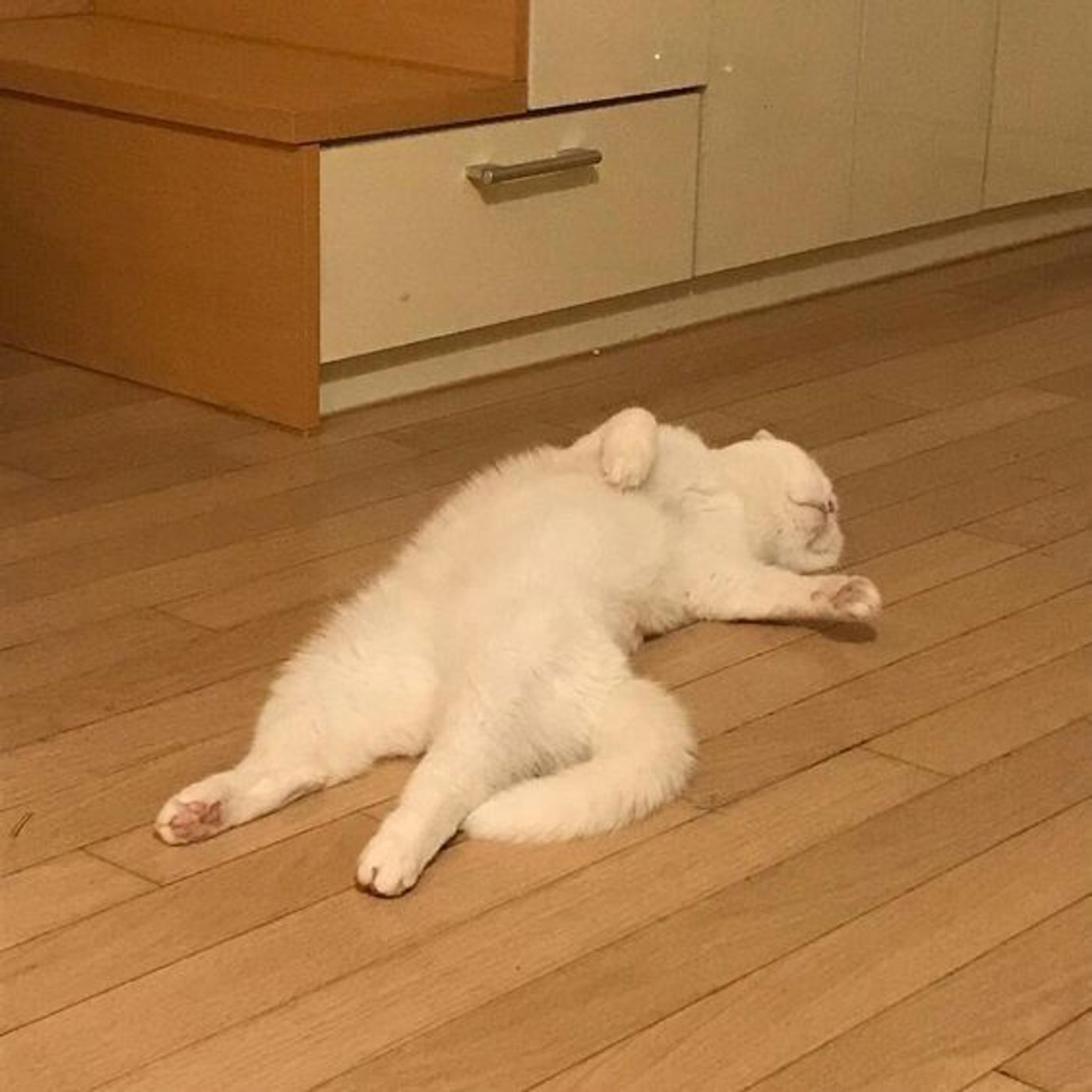 El podcast de Valentina Serrano Palma