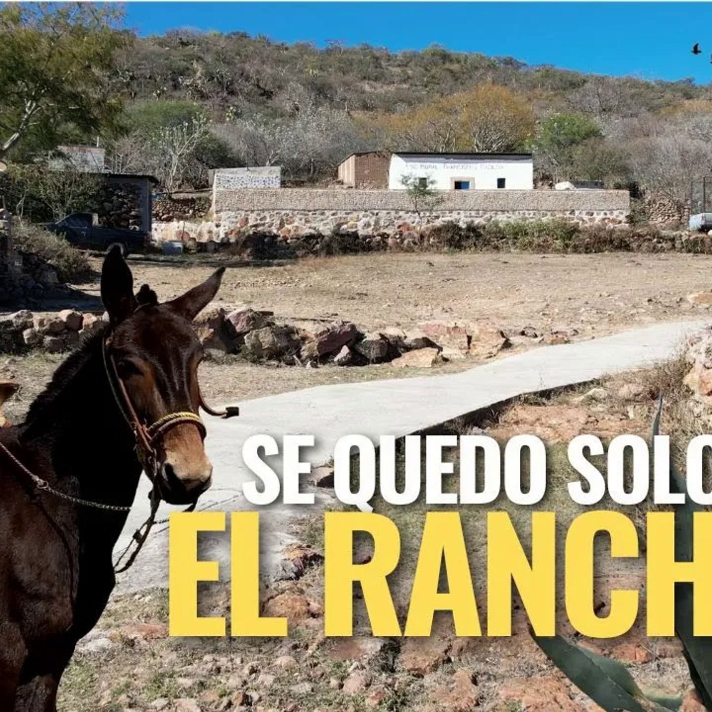 _YA NO HAY CON QUIEN PLATICAR YA TODOS SE FUERON_