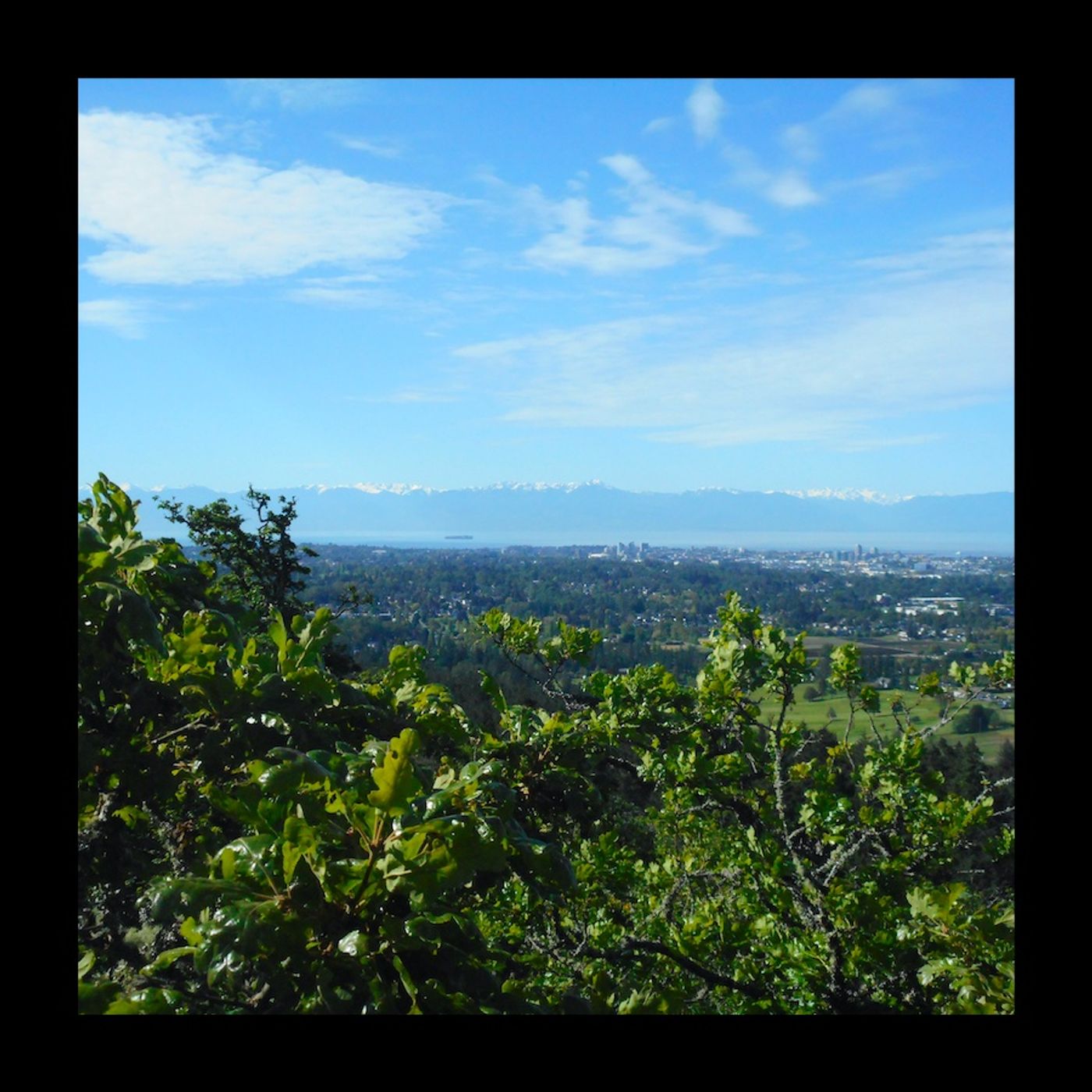 Steep Brisk Hike