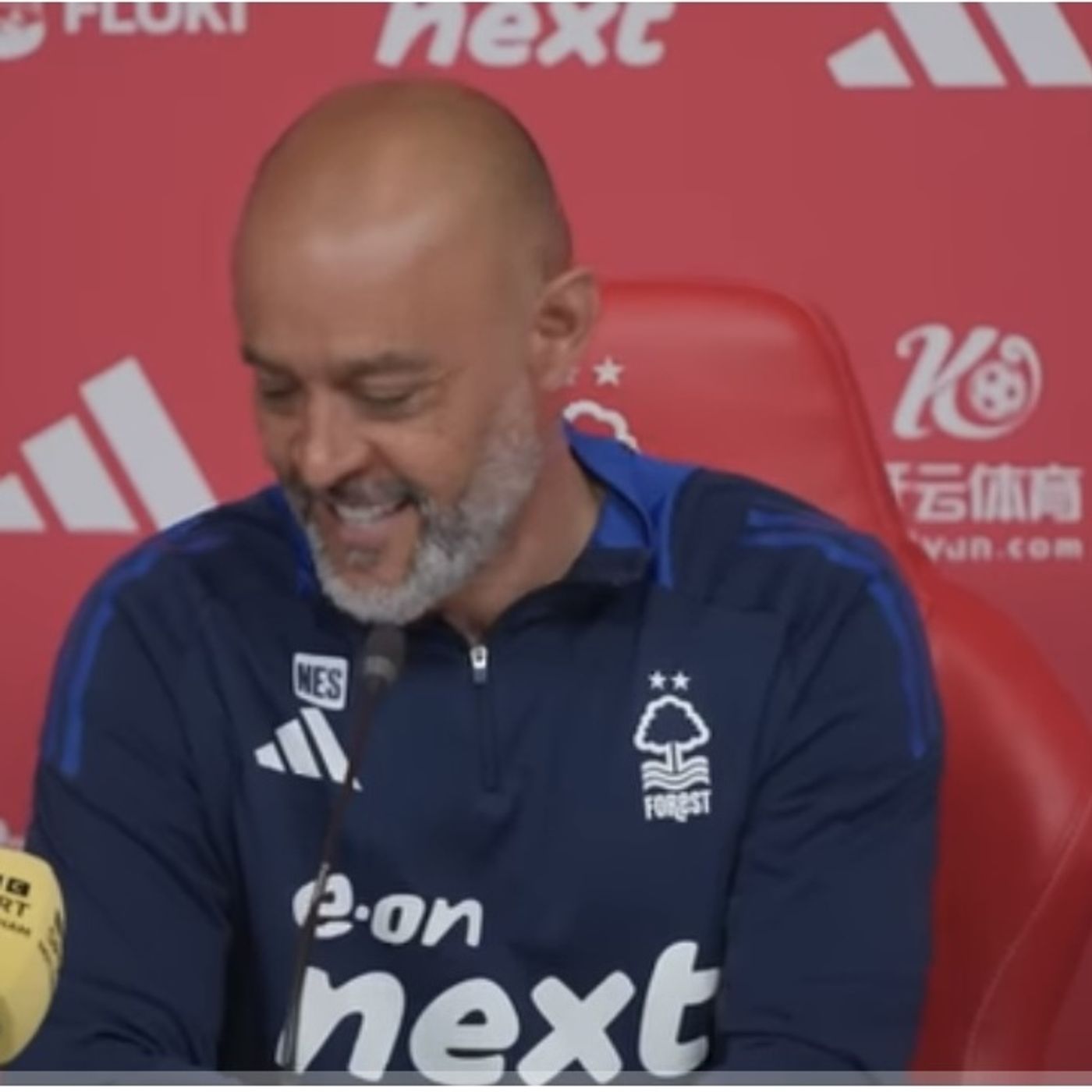 The Football Referee