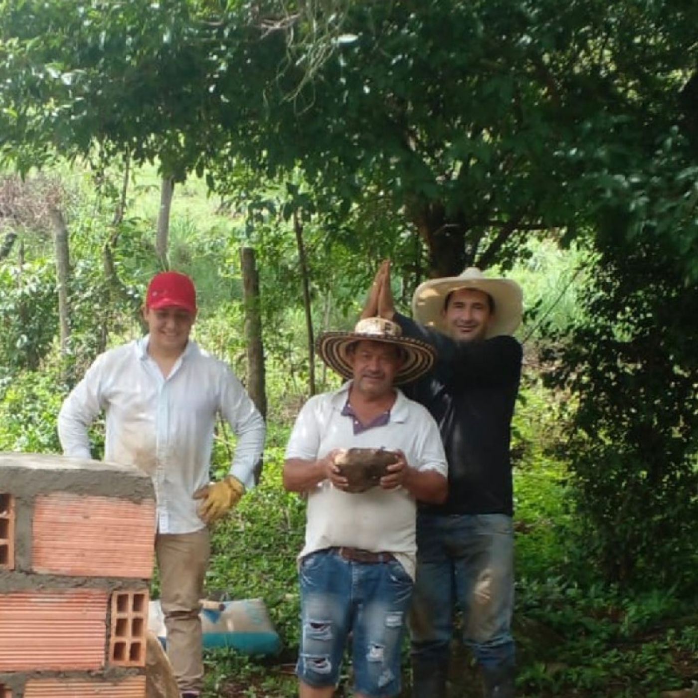Familia como Núcleo fundamental episode artwork