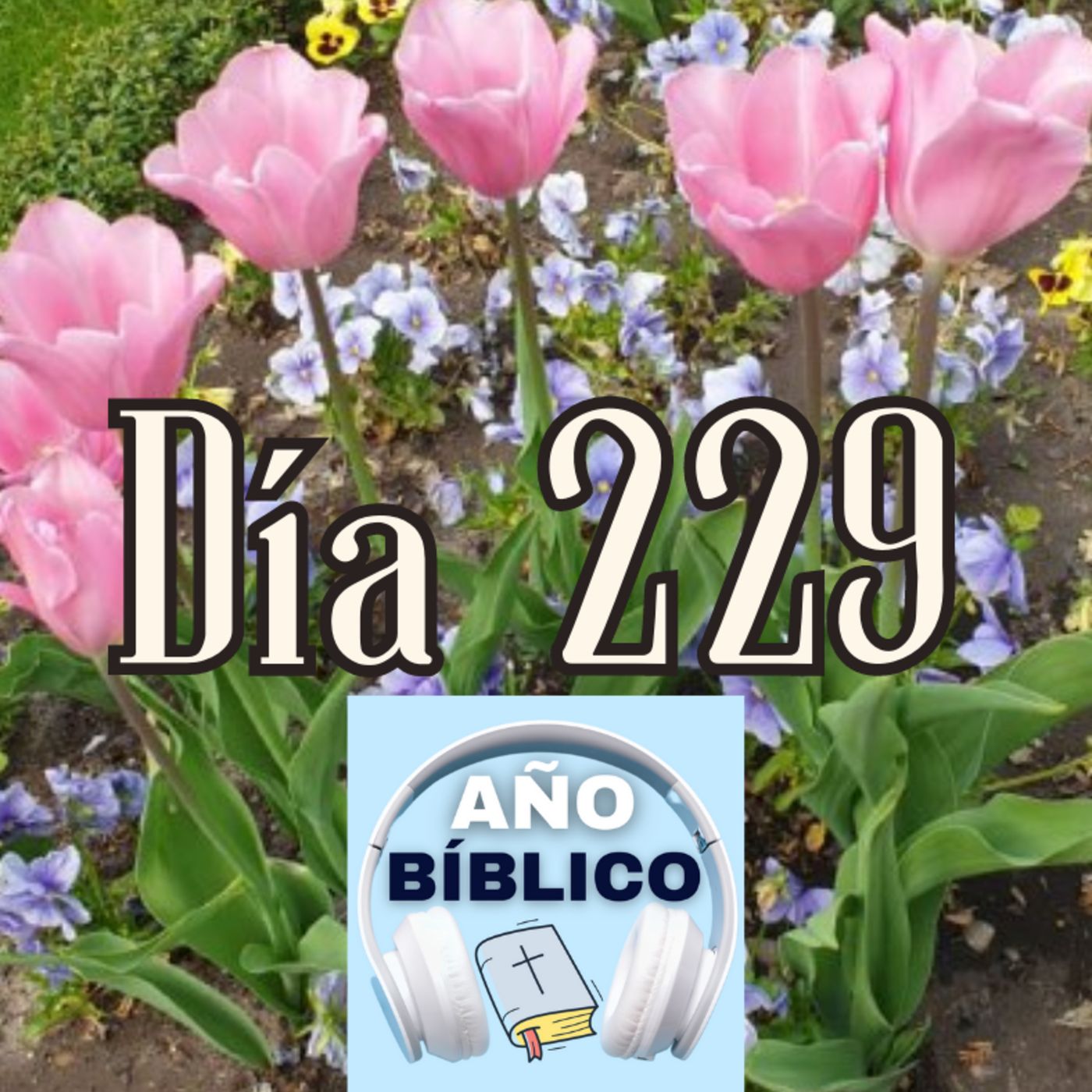 Día 229 - Salmo 94:8-15, Job 37-39 y 1 Corintios 12:1-11 episode artwork