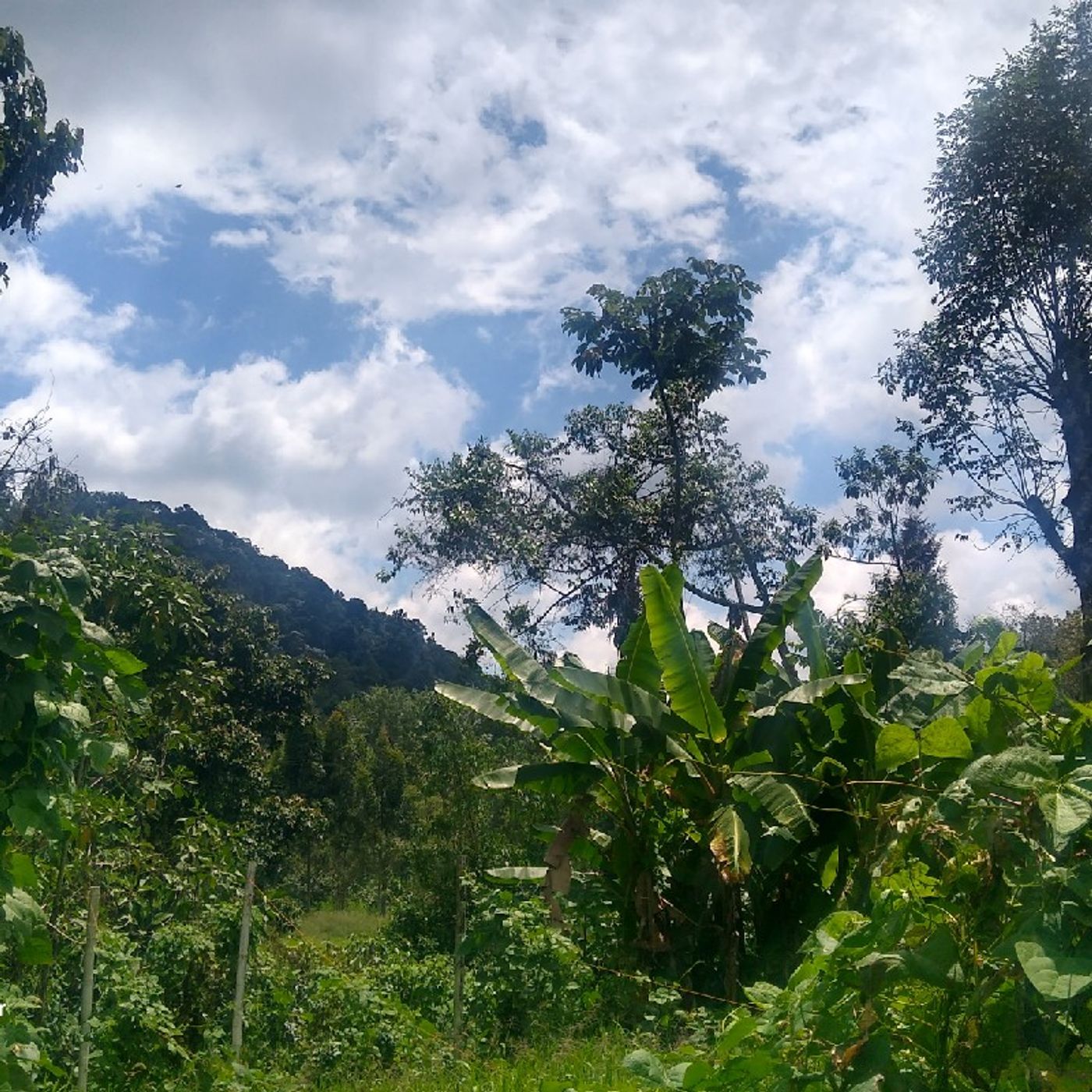 Episodio 50 - Visión Global Sanidad Interior