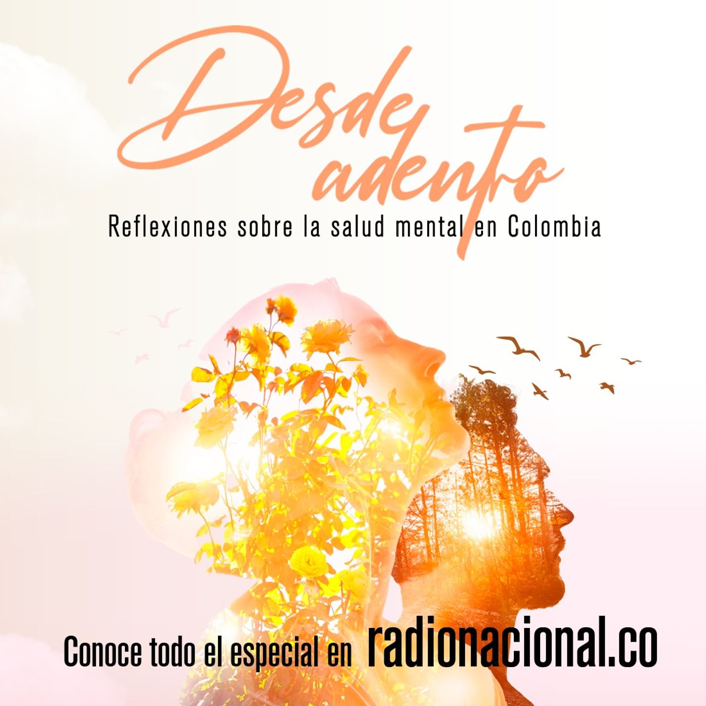 Desde adentro: reflexiones sobre la salud mental en Colombia