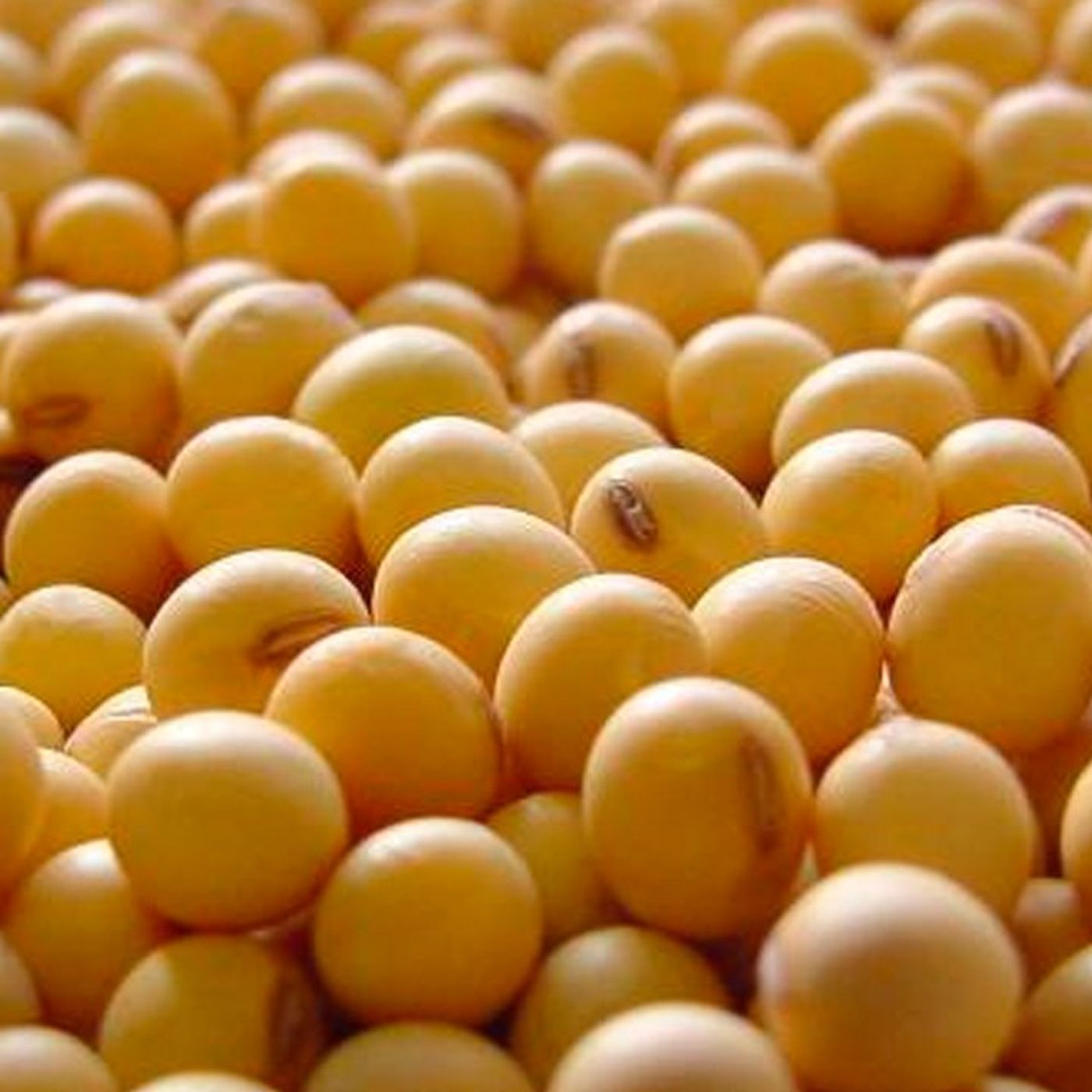 Notícias Agrícolas