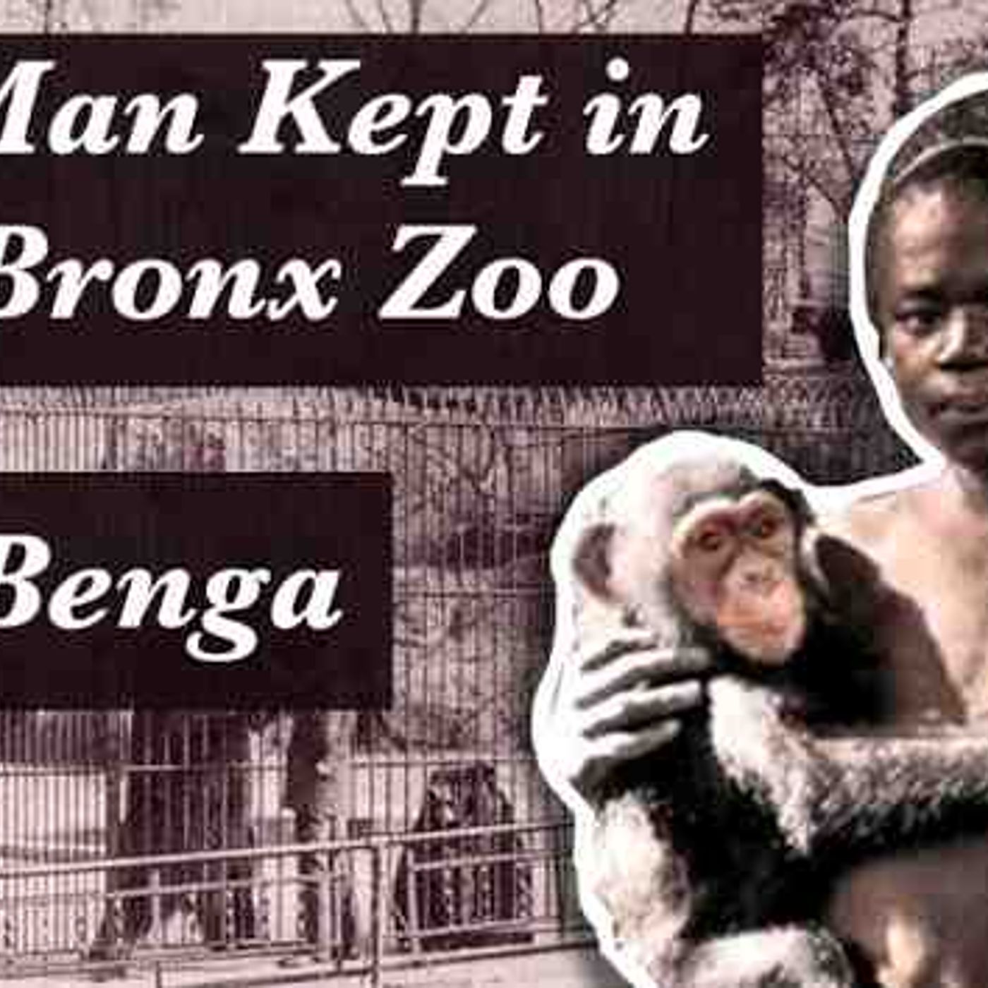 The Tragic but Fascinating Story of the Pygmy Kept in the Bronx Zoo episode artwork