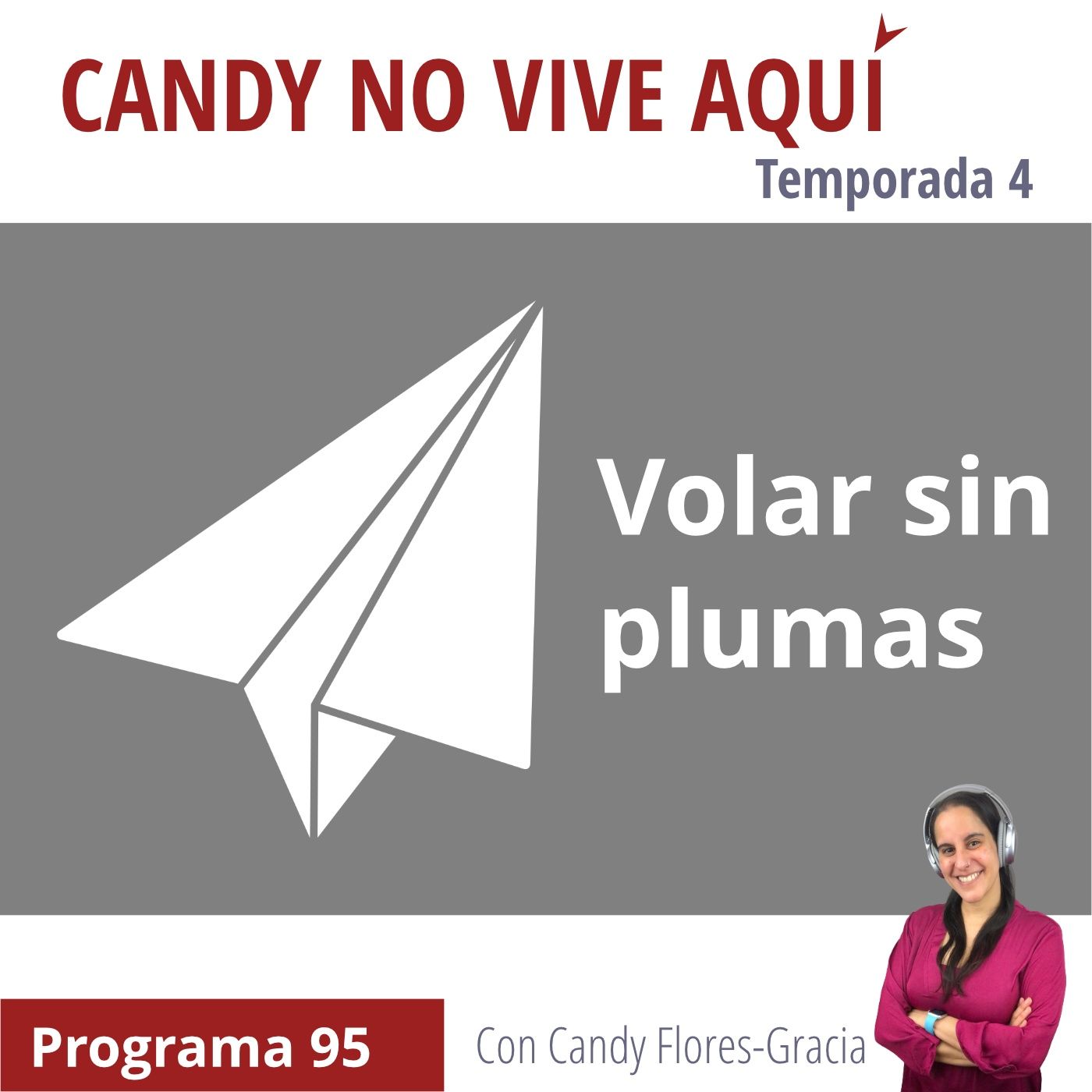 Volar sin plumas