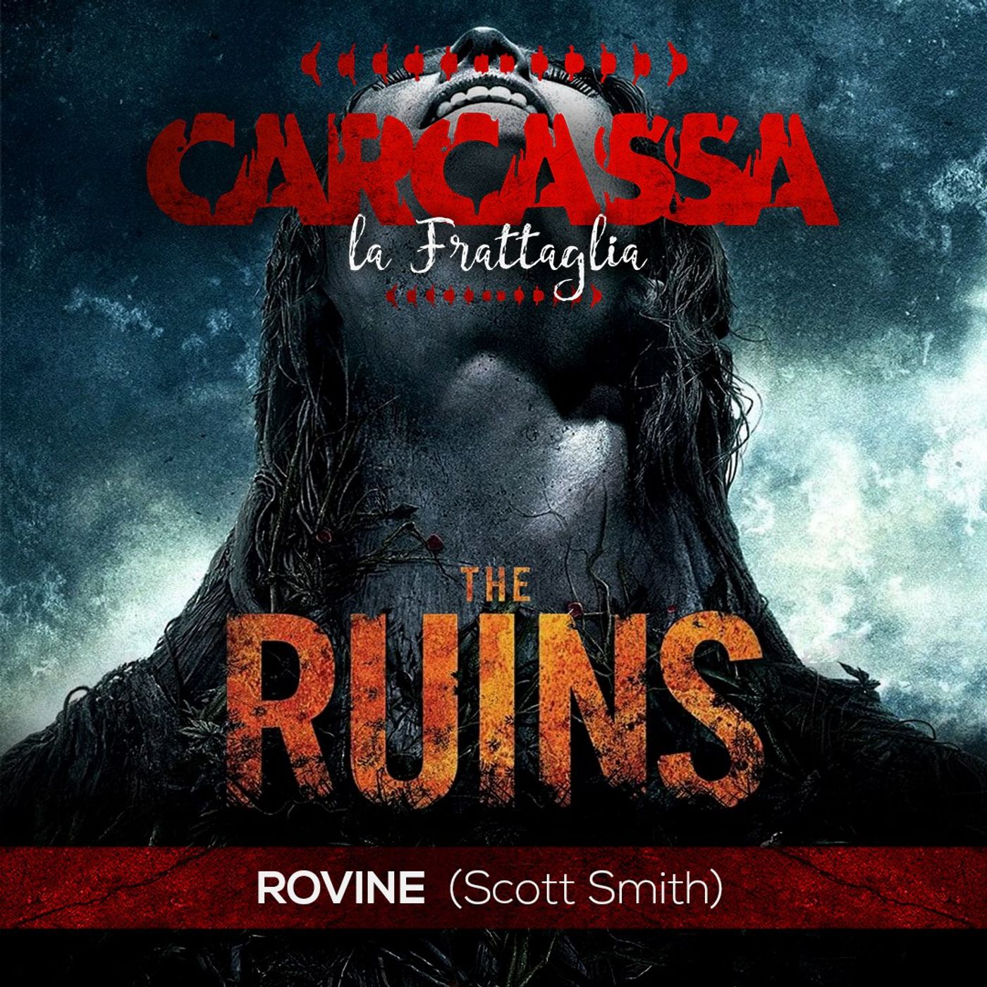 Carcassa