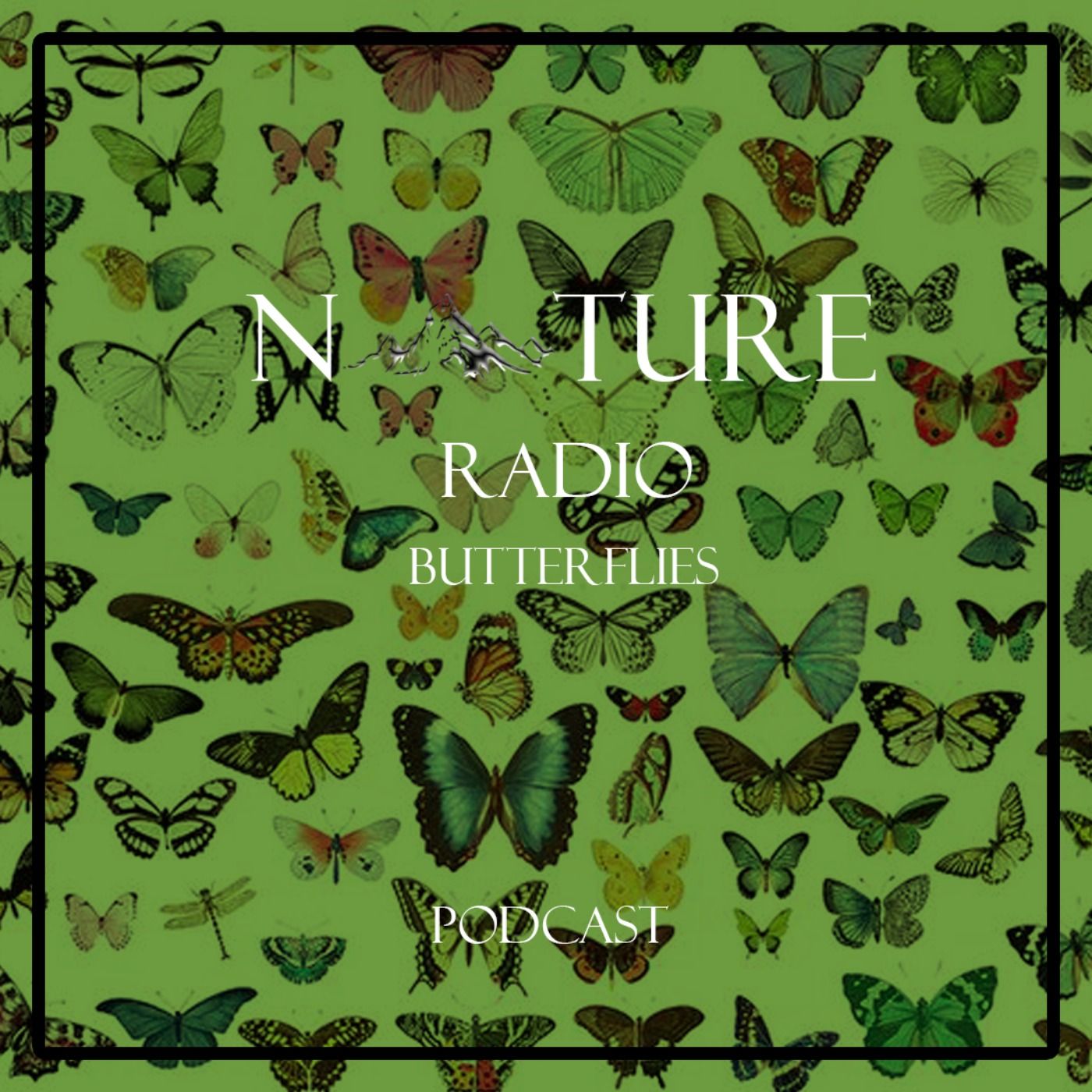 Nature Radio l رادیو طبیعت