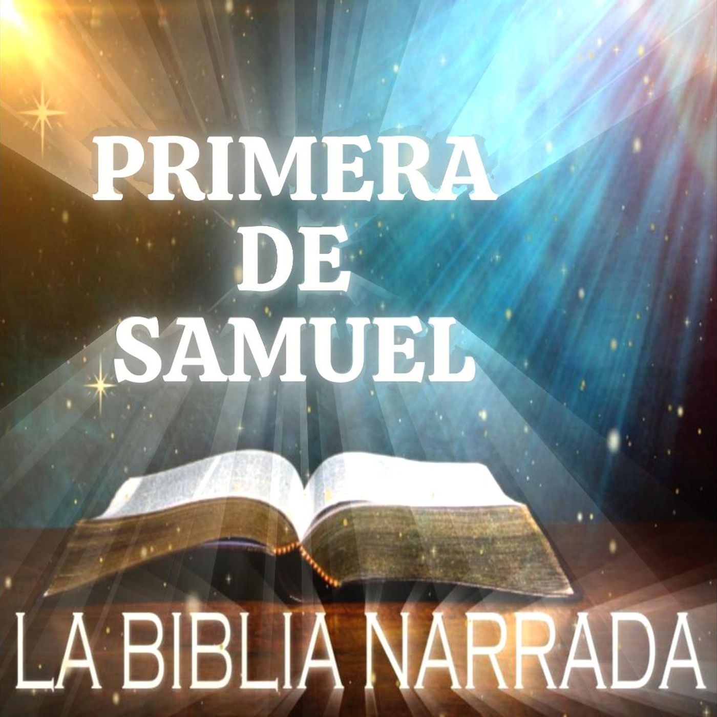 Primera De Samuel Completo - Nueva Versión Internacional episode artwork