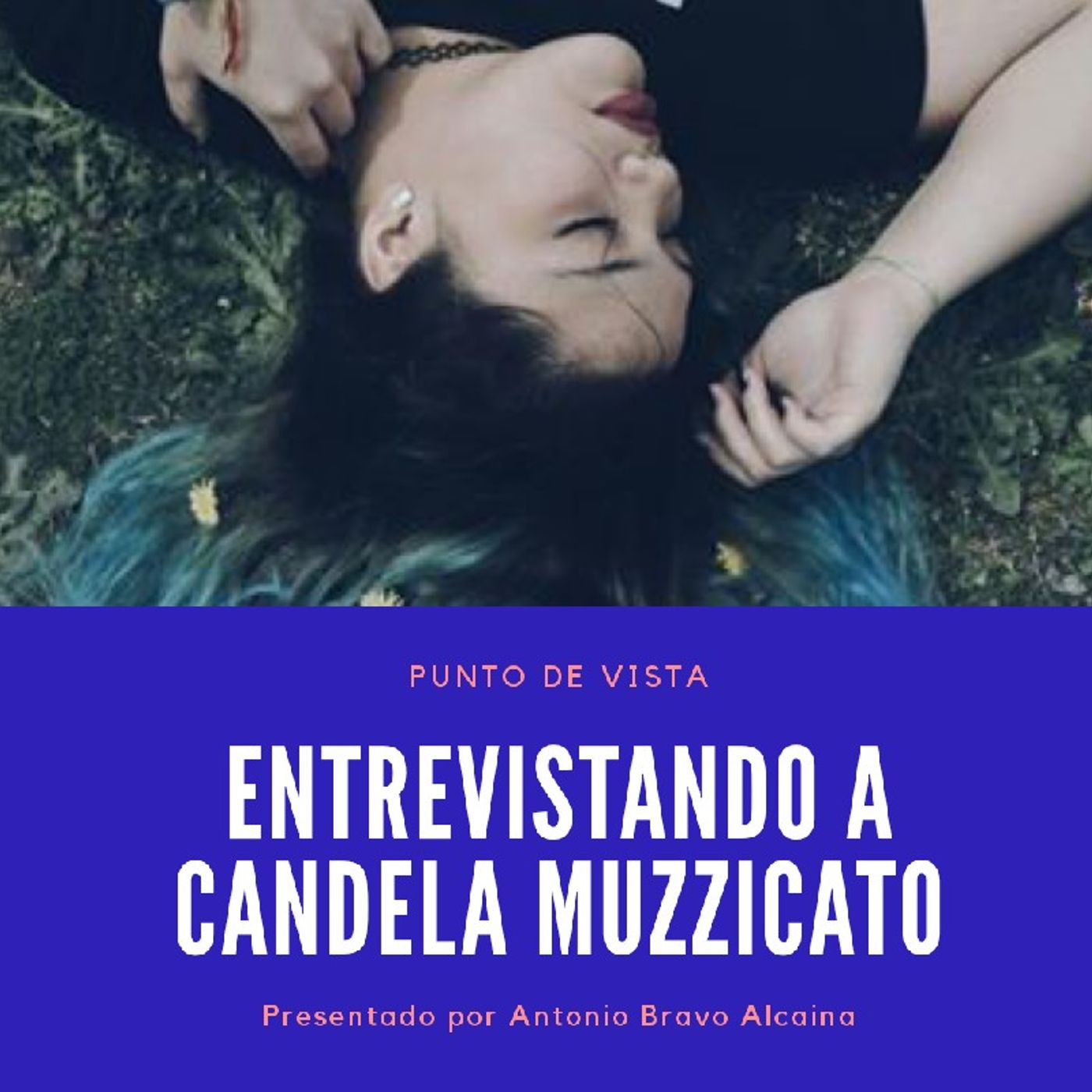 Punto de Vista