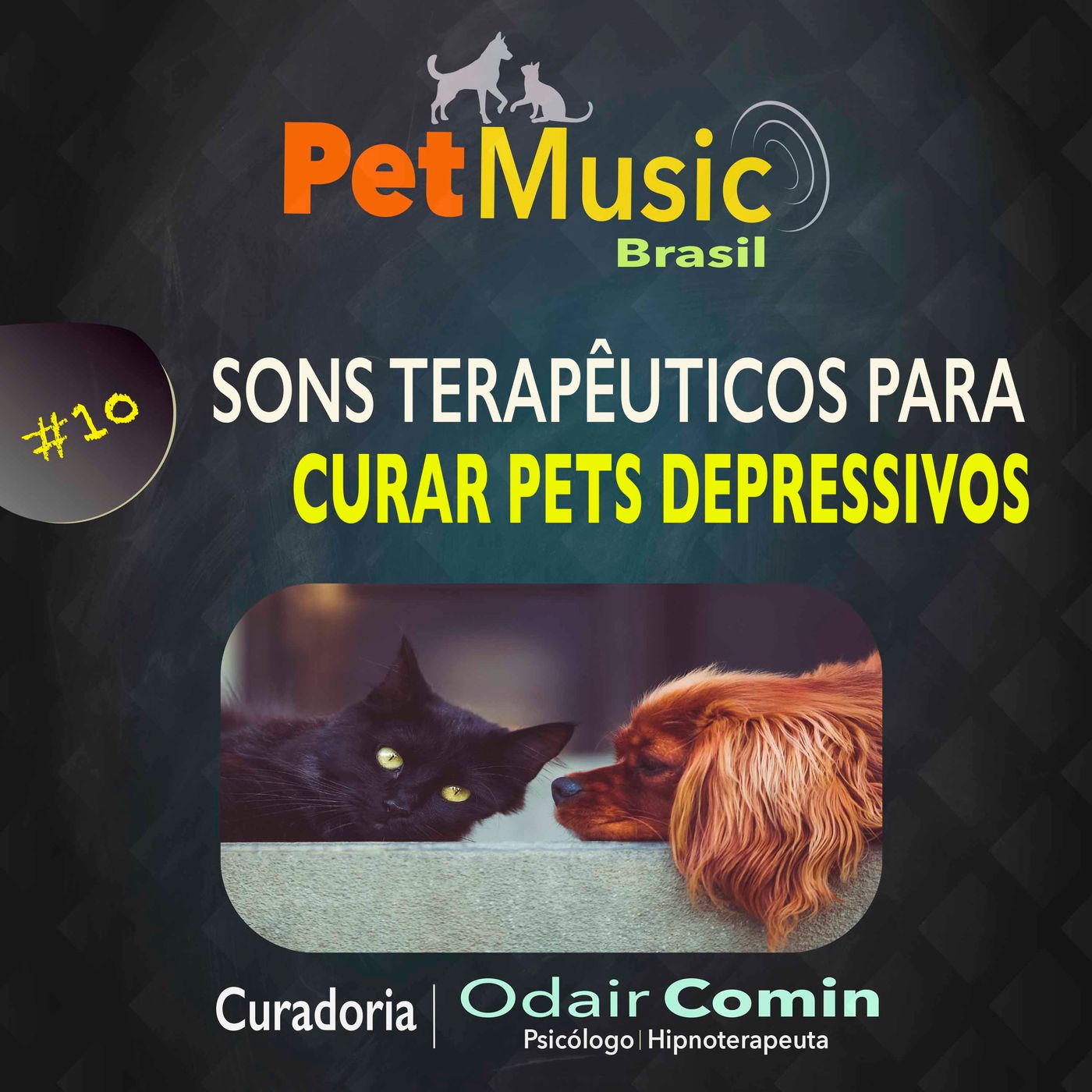 #10 Sons Terapêuticos para Pets Depressivos
