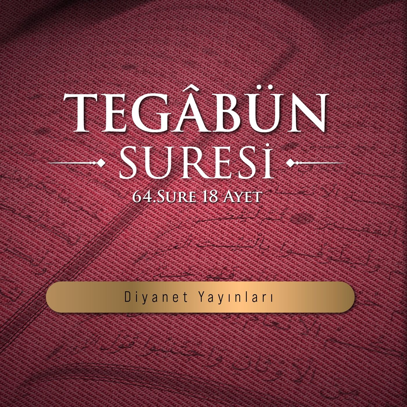 Tegâbün suresi episode artwork
