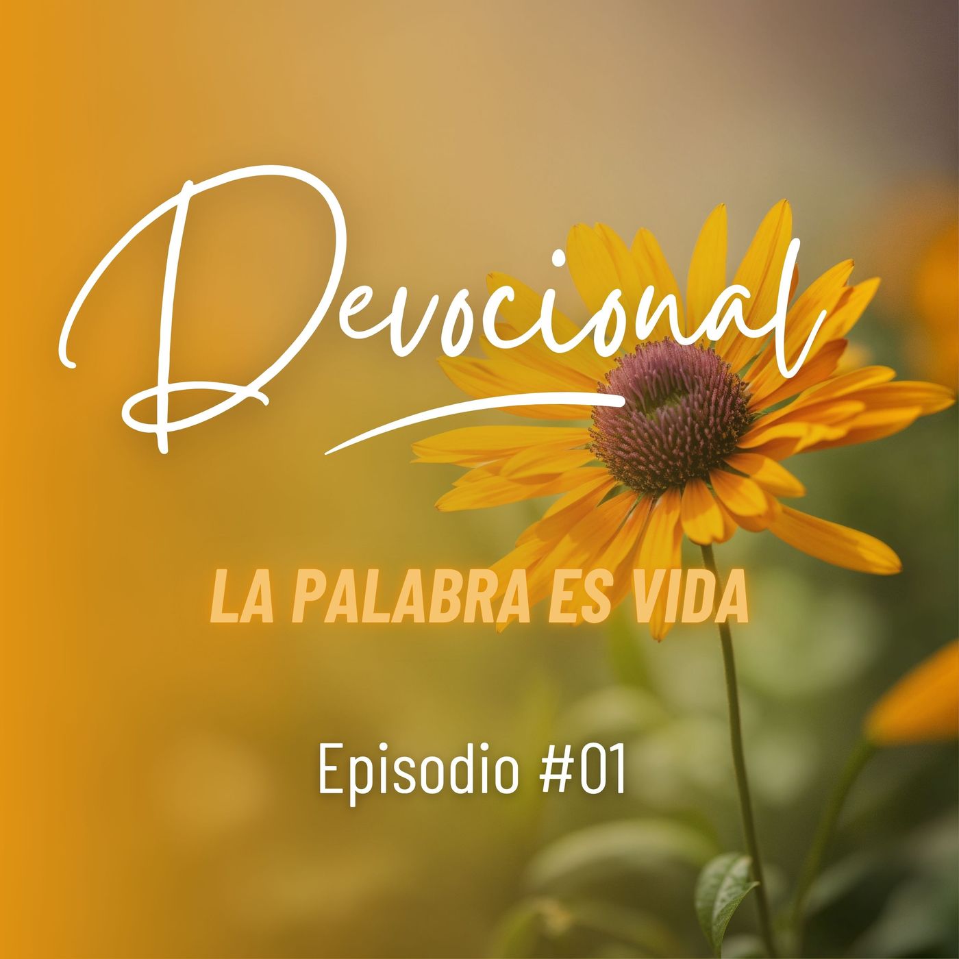 Devocional Diario de Hoy EPP #01 - Experimentando Sueños y Proyectos