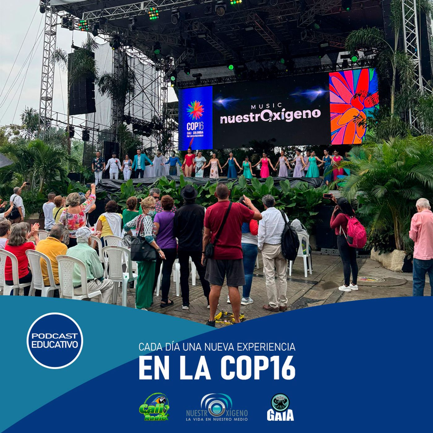 2024 Nuestro Oxigeno 11- Noviembre