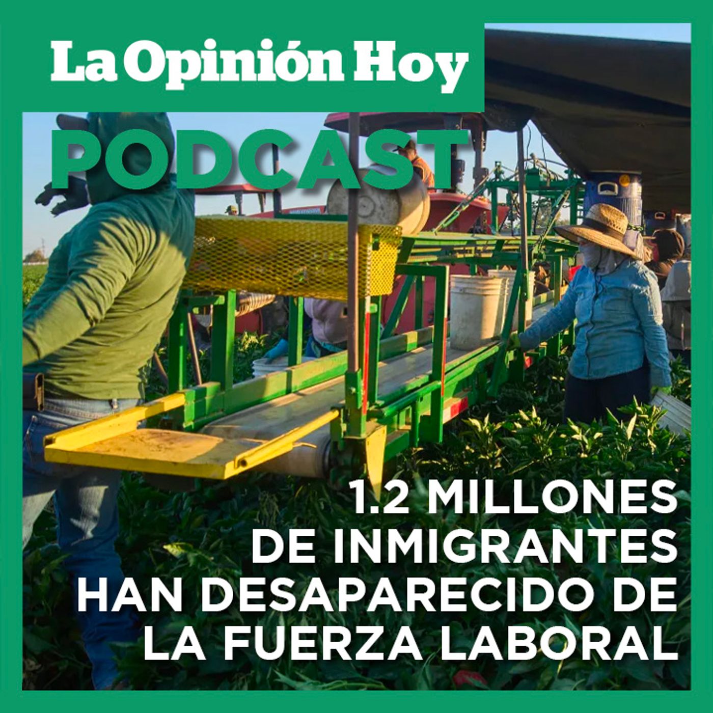 Desaparecen inmigrantes de la fuerza laboral bajo el gobierno de Trump.