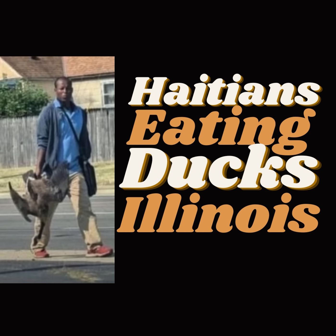 Hatians Eating Ducks in Illinois Neighborhoods