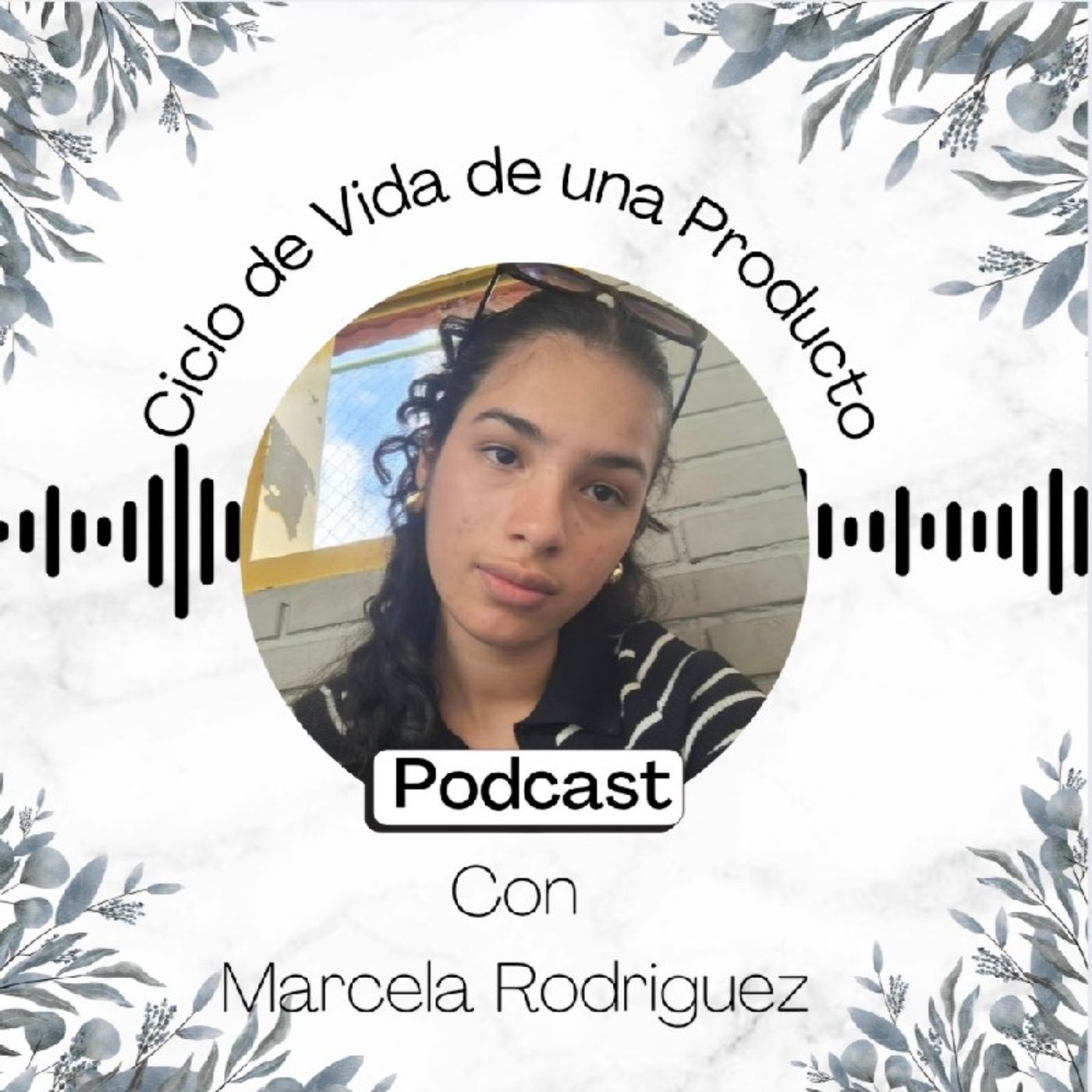 Ciclo de vida de un producto episode artwork