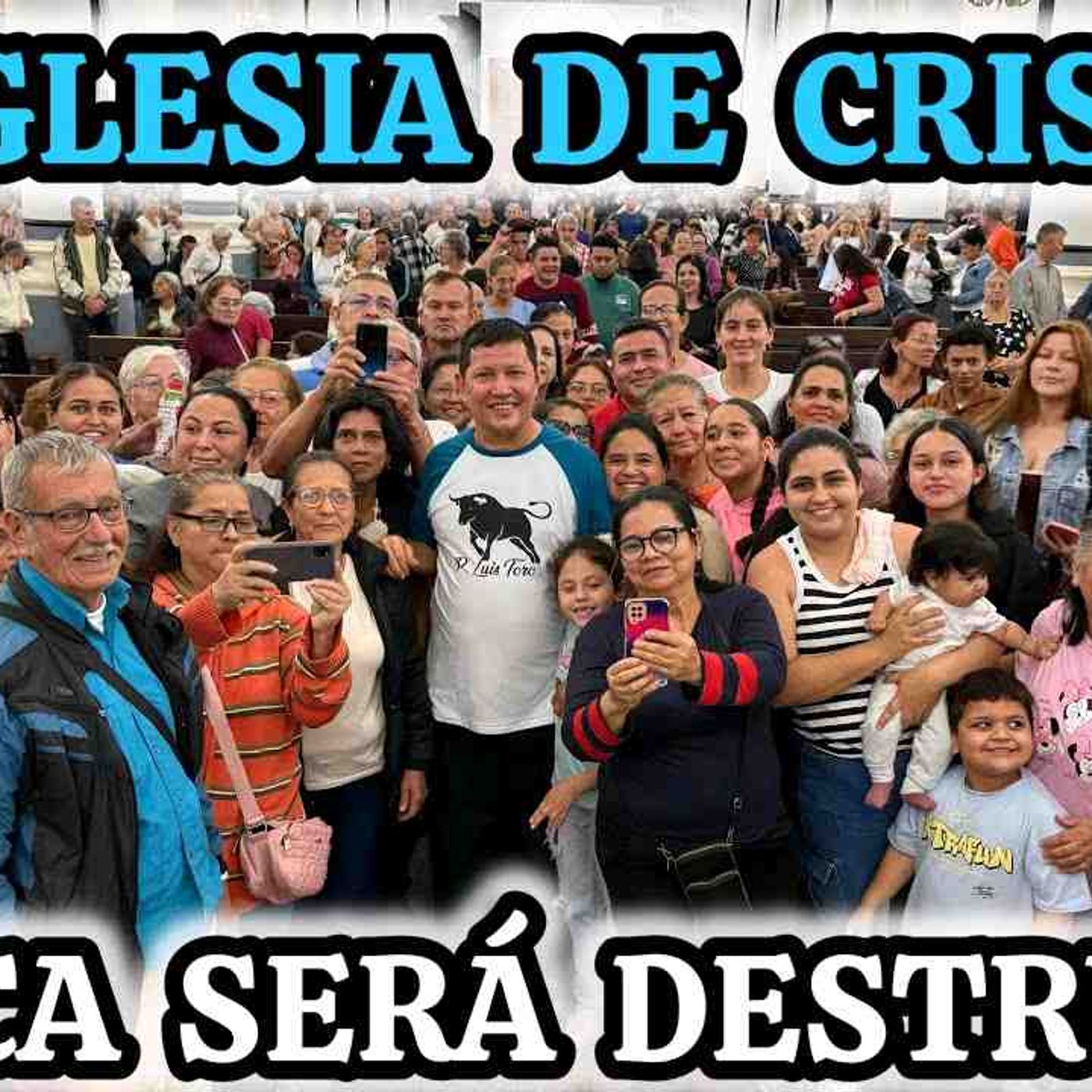 44-26_ LA IGLESIA CATÓLICA es la ÚNICA que nos LLEVA a la SALVACIÓN_ Padre Luis Toro episode artwork