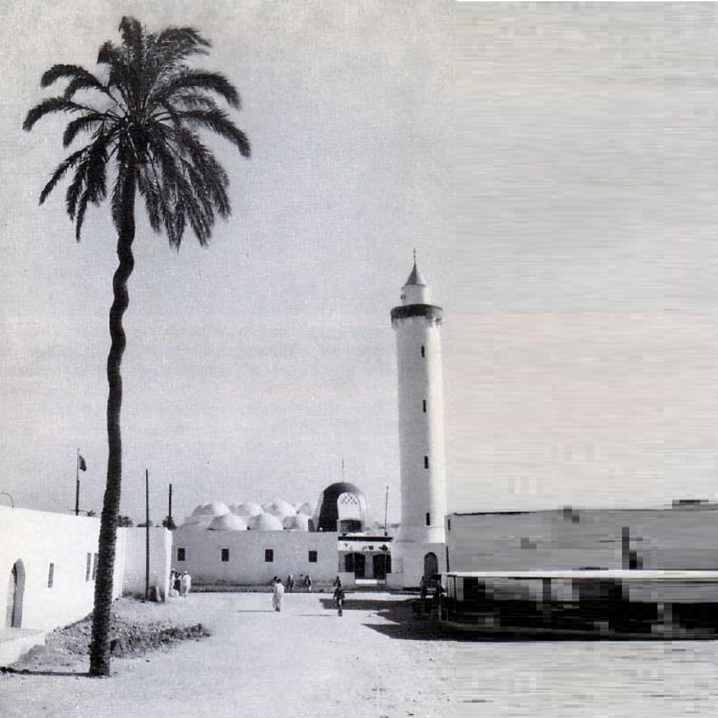 المحطة التربوية الثقافية cover art