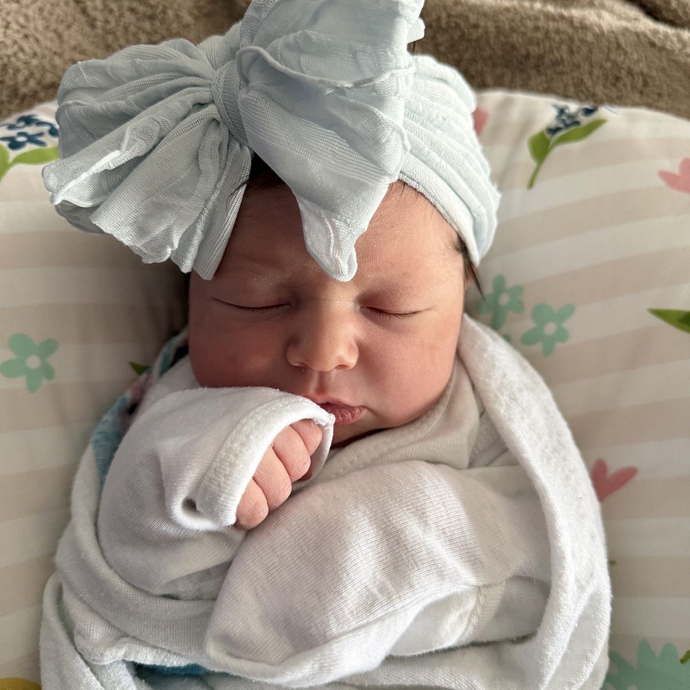 Northwest Herald - Shaw Local