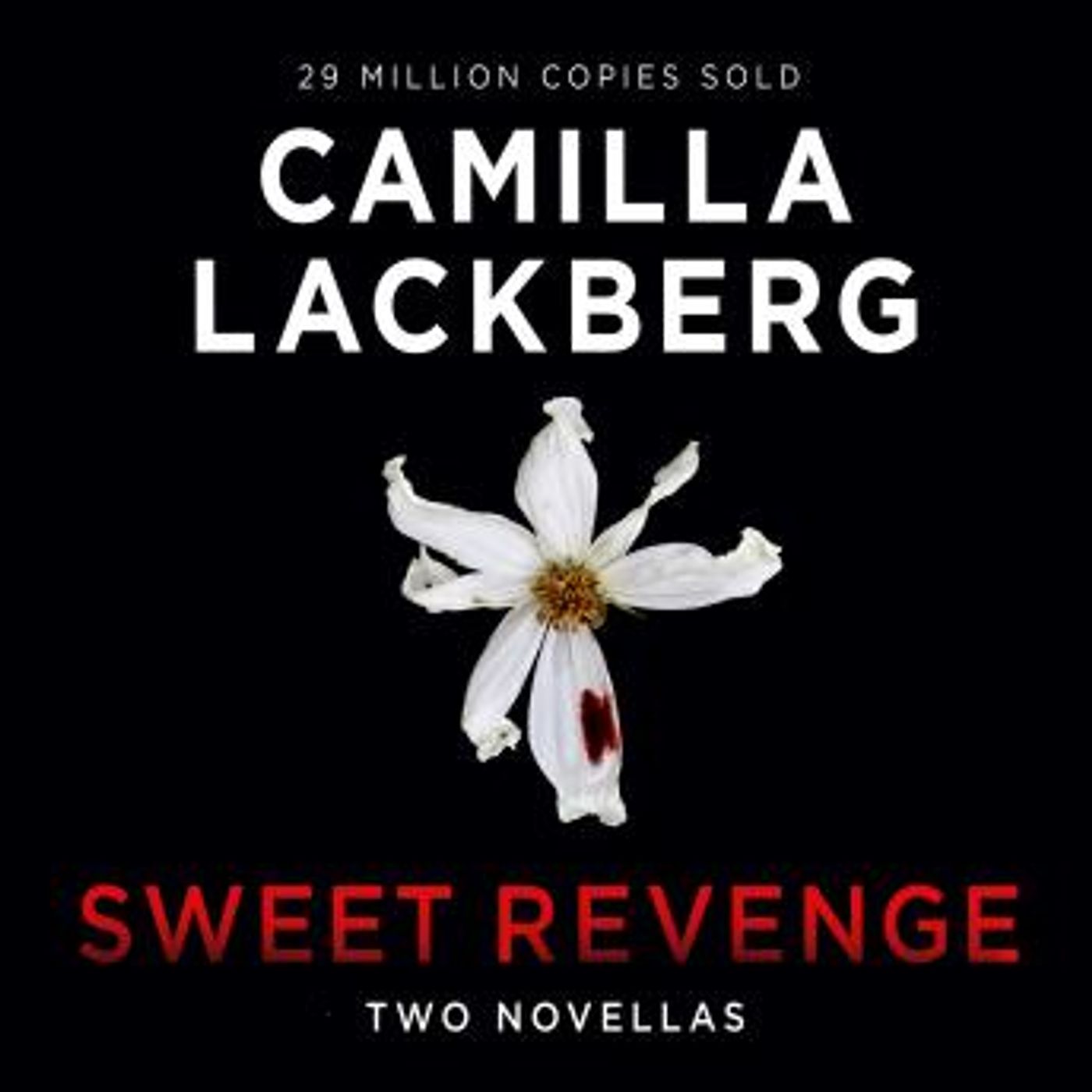 Download Top Full Audiobooks in Fiction, Contemporary Women