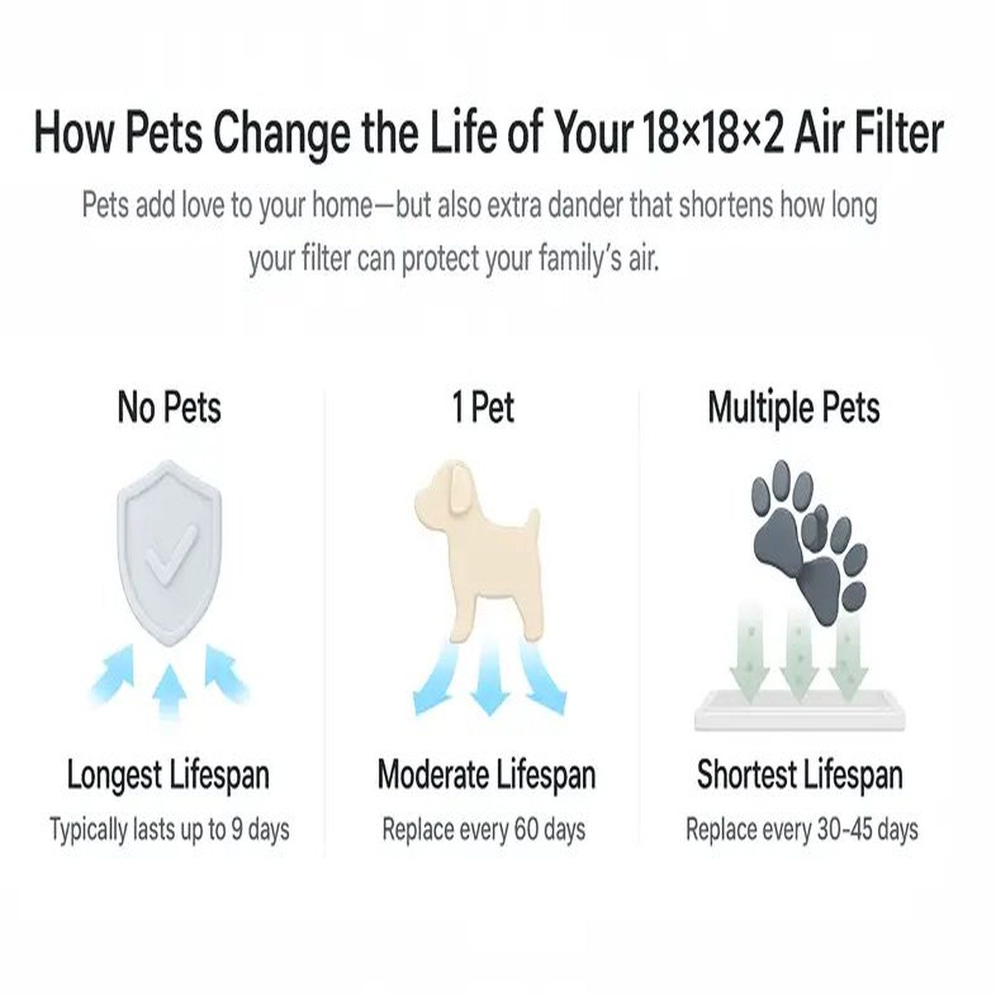 How Pets Affect the Lifespan of an 18x18x2 Pleated Filter episode artwork