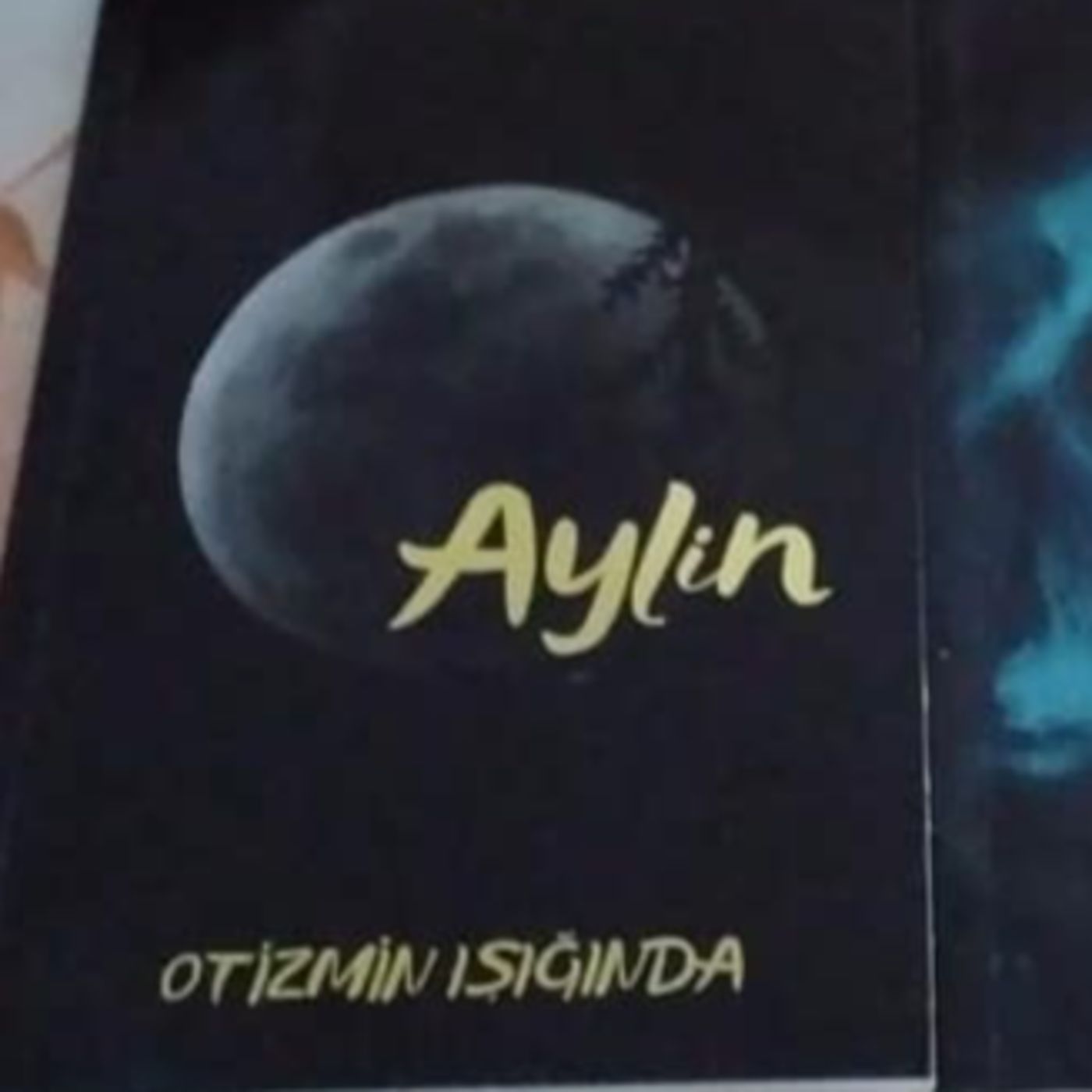 AYLİN OTİZMİN IŞIĞINDA episode artwork