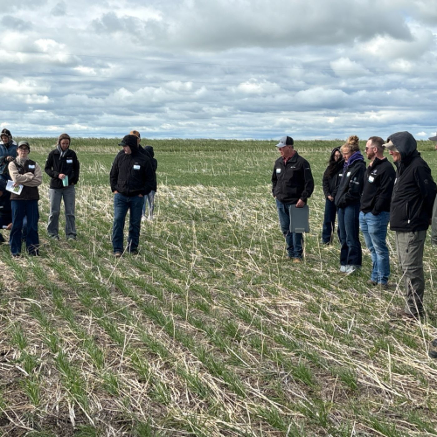 Alberta producers see research in action at Plot2Farm field day episode artwork