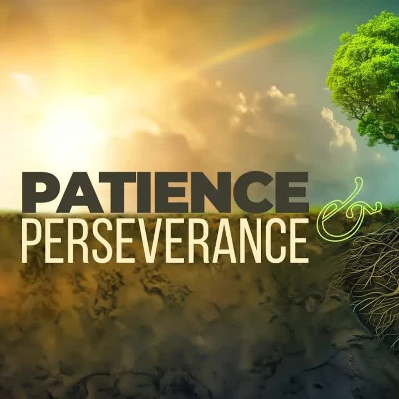 Patience & Perseverance