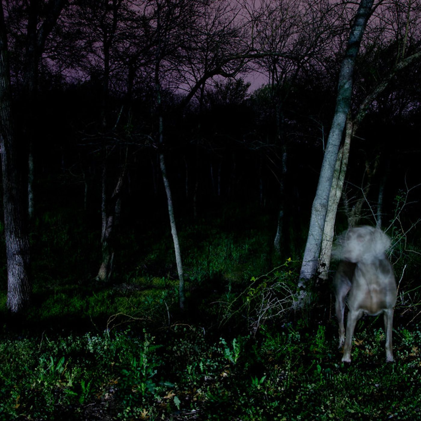 Dark Matters Supernatural Radio