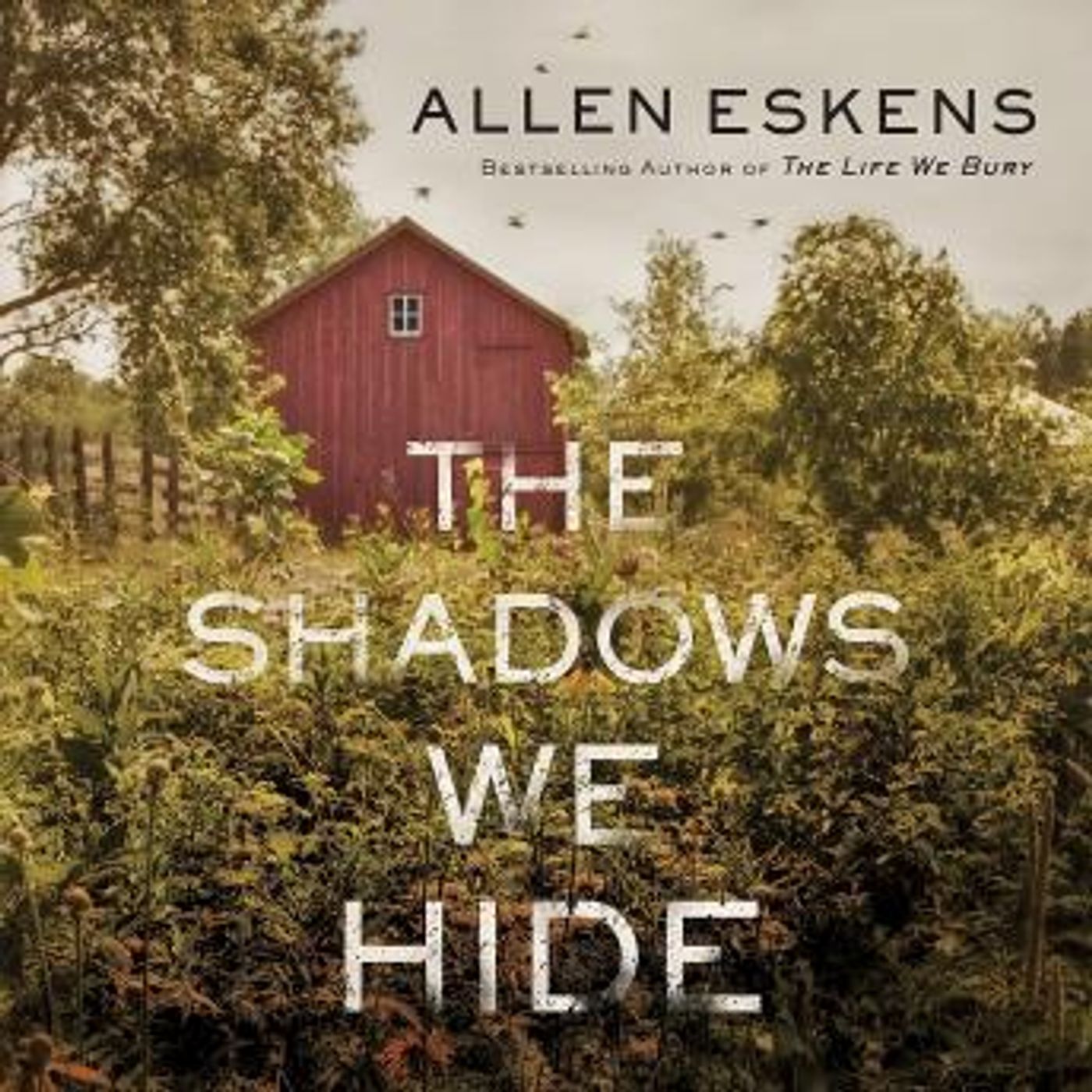 The Shadows We Hide: The highly acclaimed sequel to The Life We Bury by Allen Eskens episode artwork