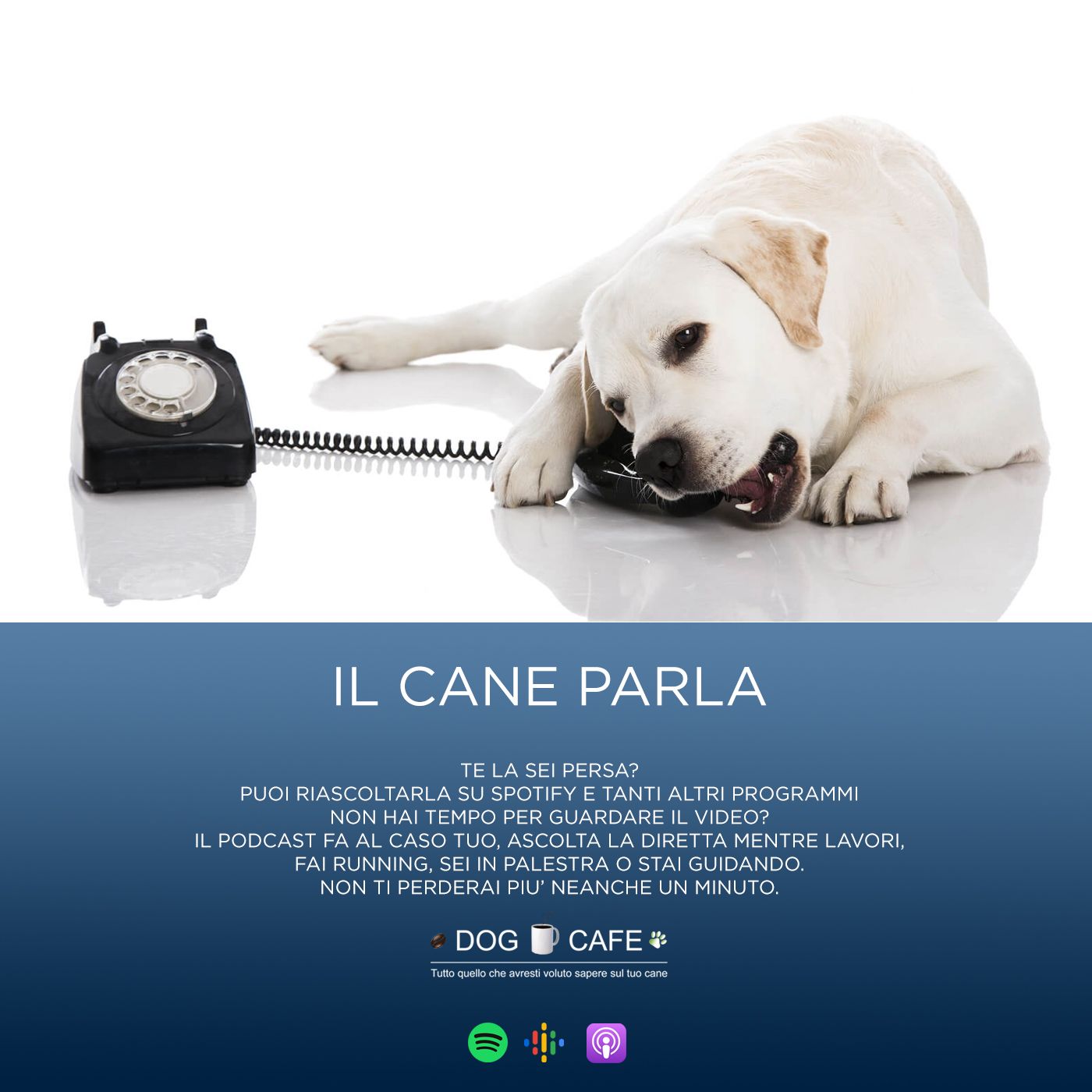 Dog Cafe Podcast