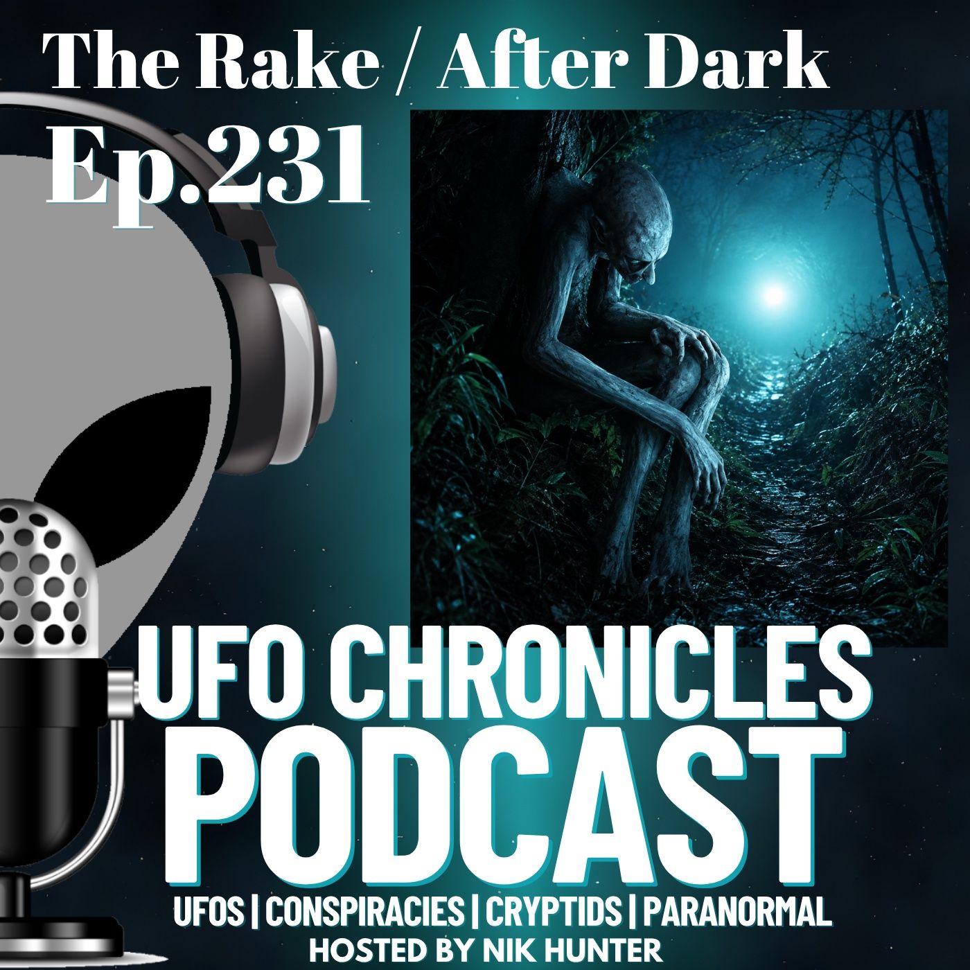 Ep.231 The Rake / After Dark episode artwork
