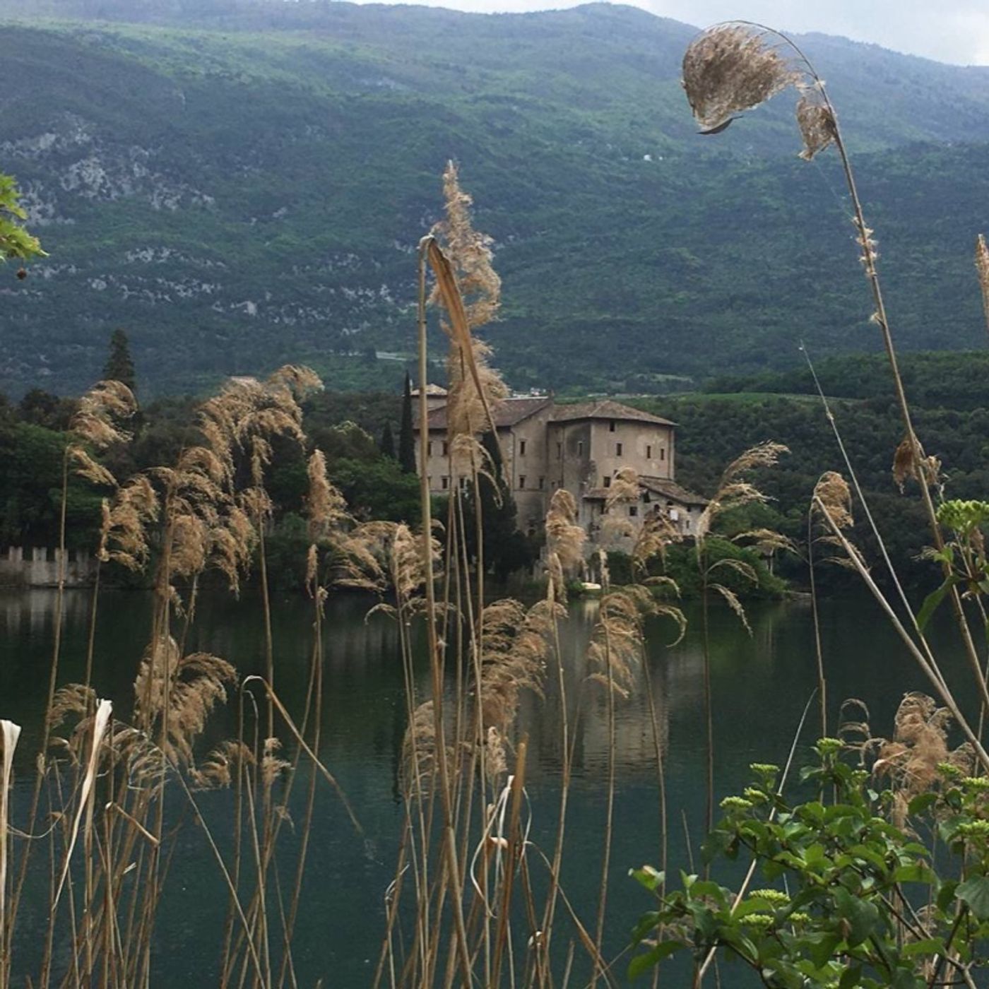 Passo dopo Passo