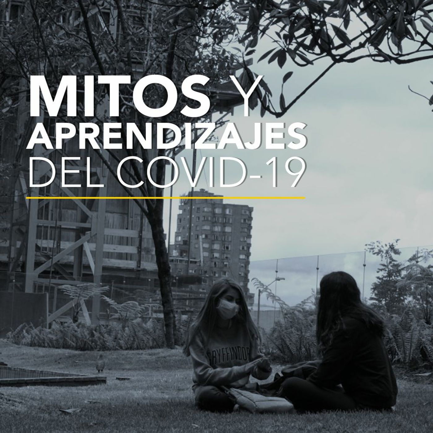Mitos y aprendizajes del Covid-19 | Desafíos RCN-Javeriana episode artwork