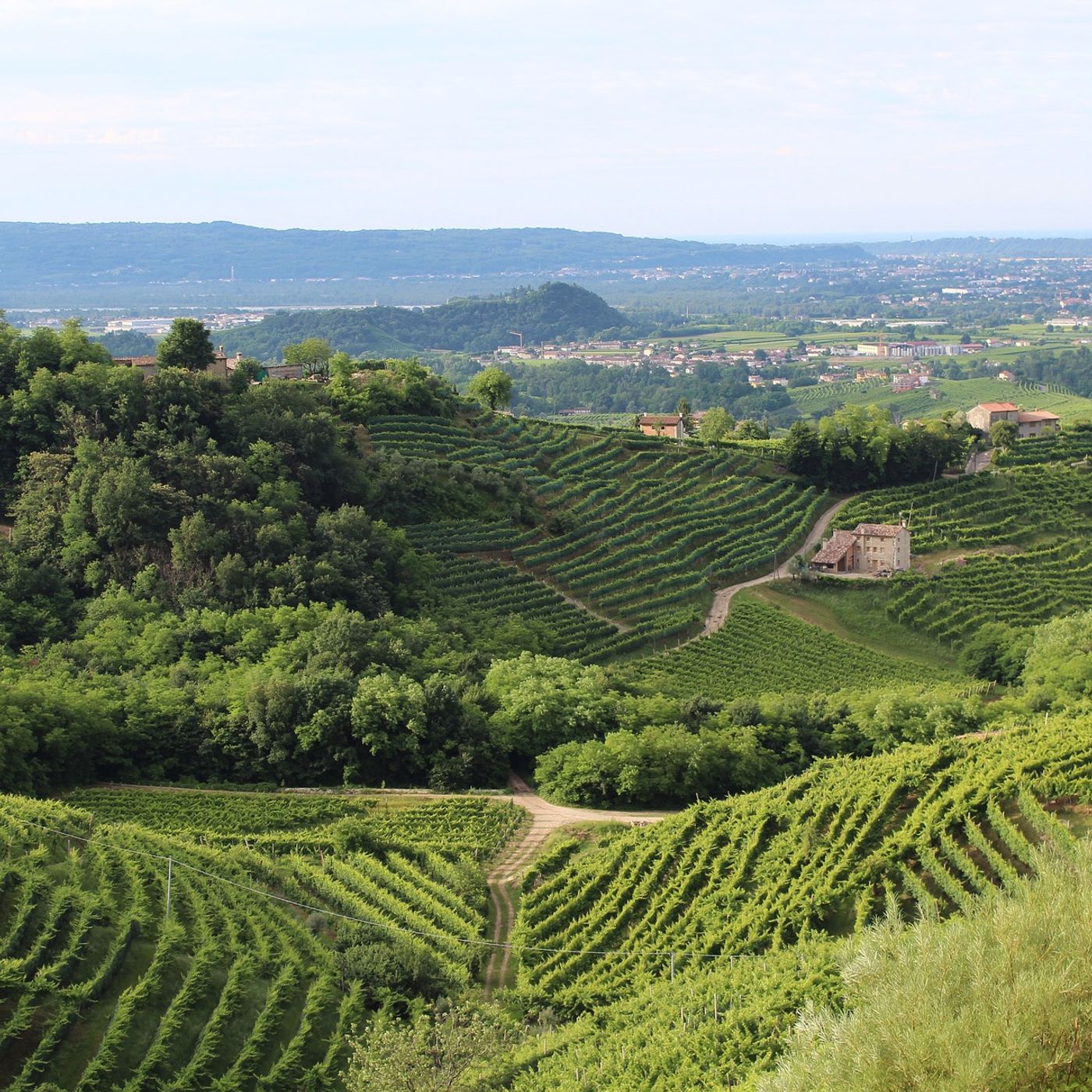 Viaggio in Italia