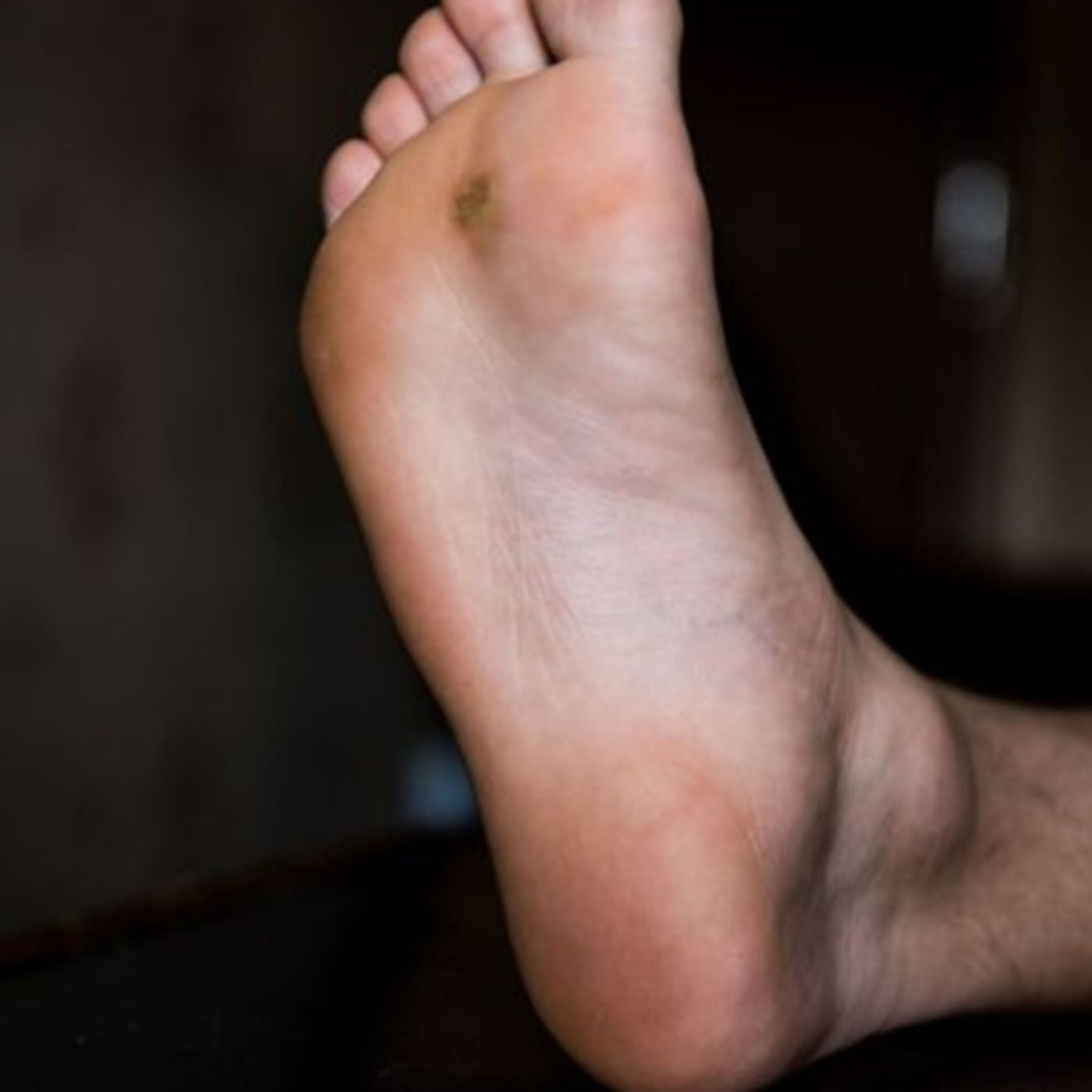 RelefordInstitute.com Audio Blogs