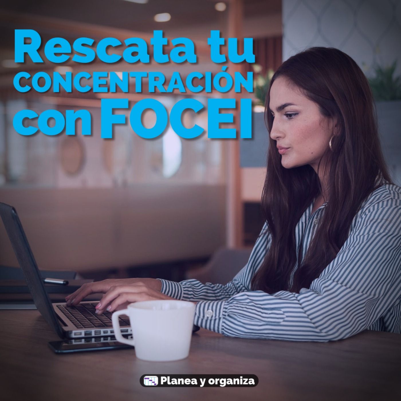 Planea y organiza